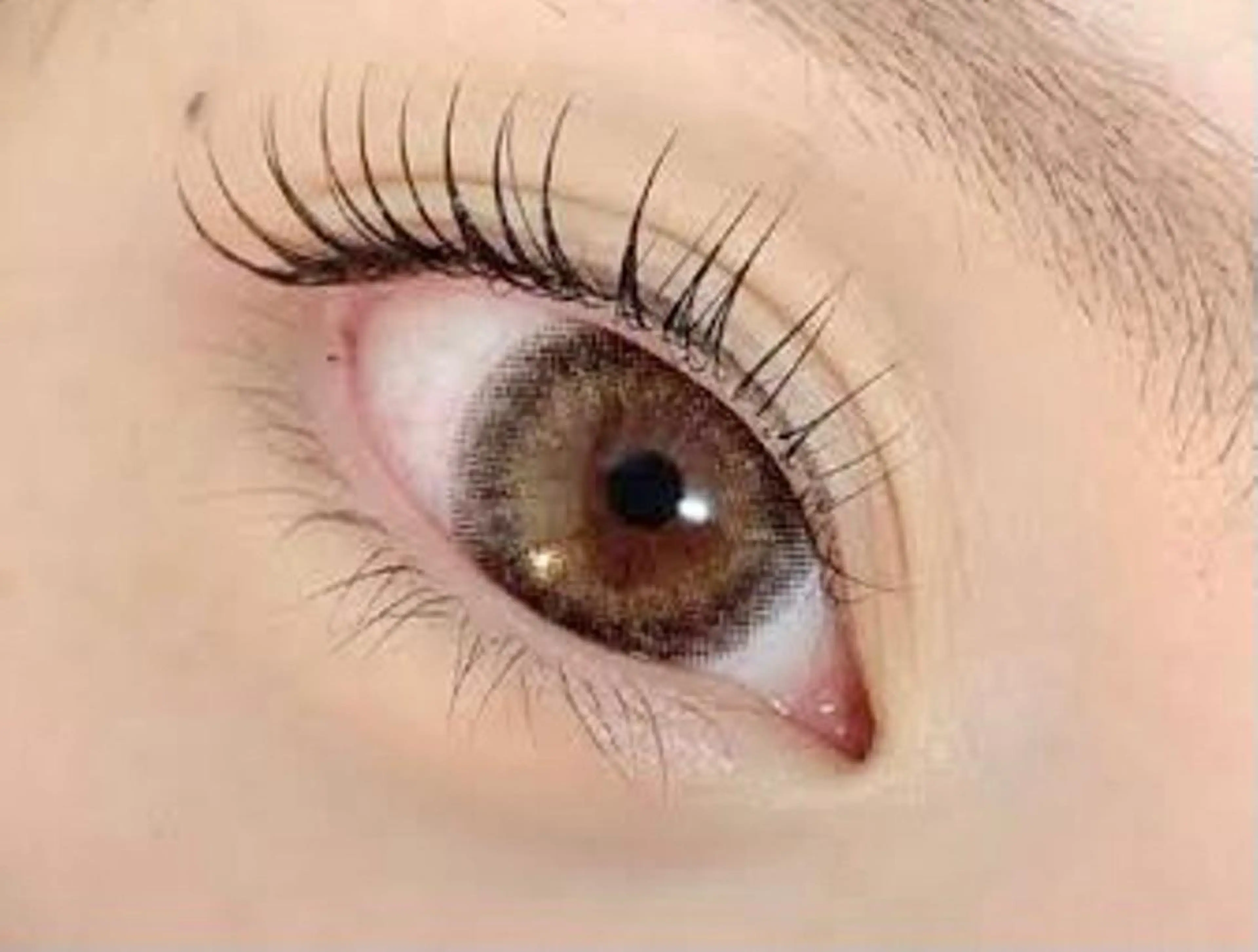 【1月5、6、7日練習モデル】まつげパーマ・パリジェンヌの写真