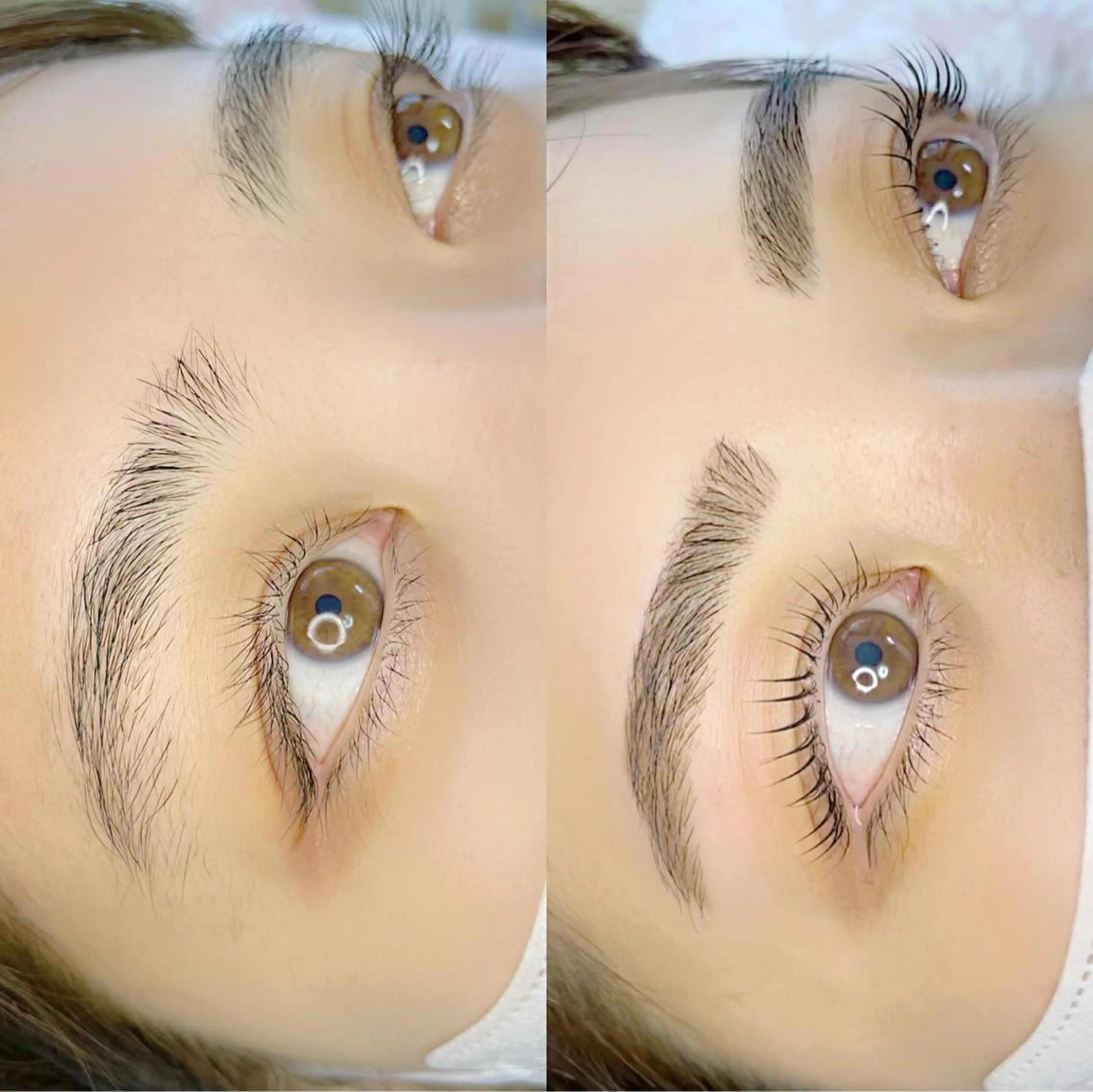 👀🍯《新規》美眉ワックススタイリング＆まつげパーマ&フェイスワックス/豪華3点set🌷1回/13500円の写真