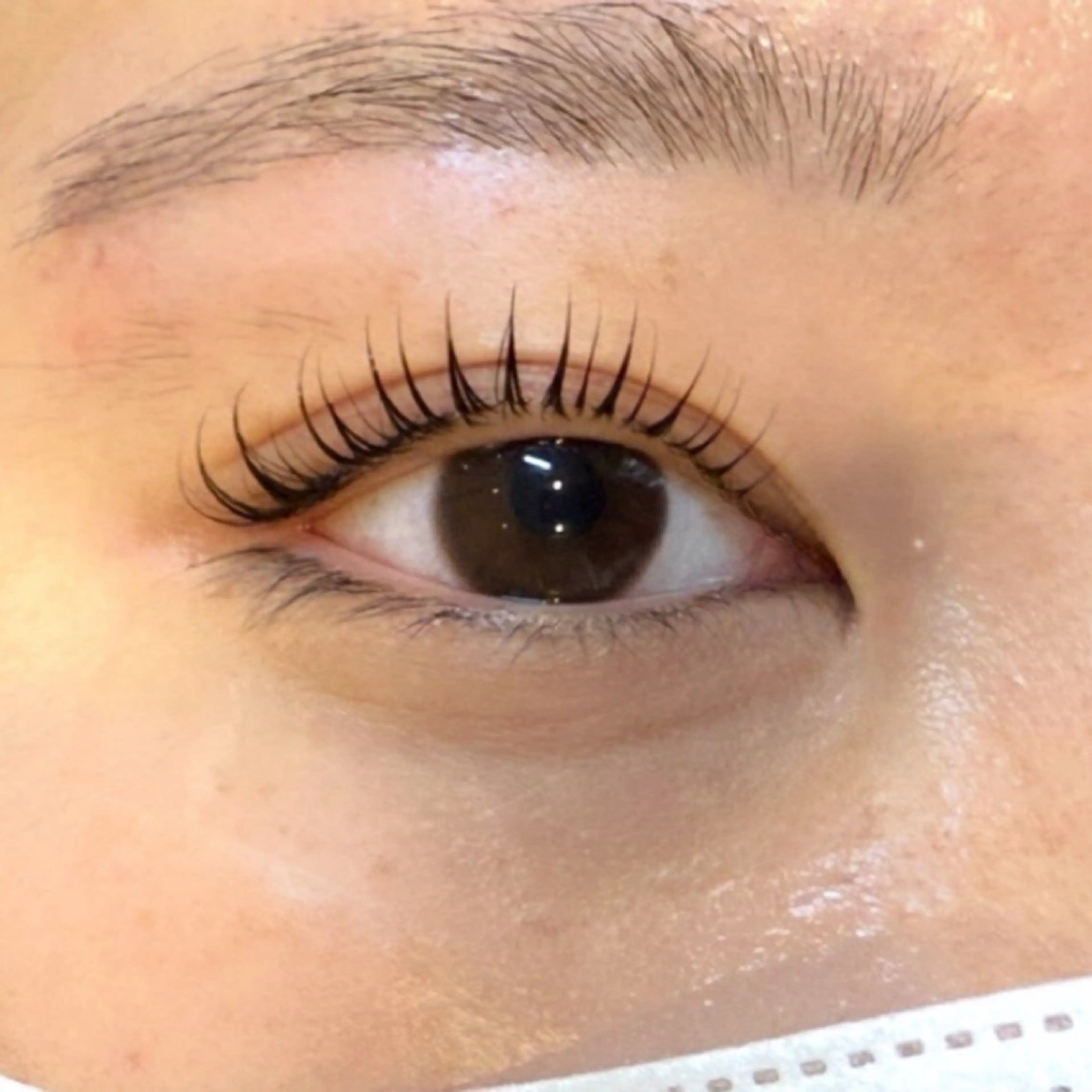 マツエク・マツパ nicottlash 難波店 山崎のマツエク・マツパデザイン