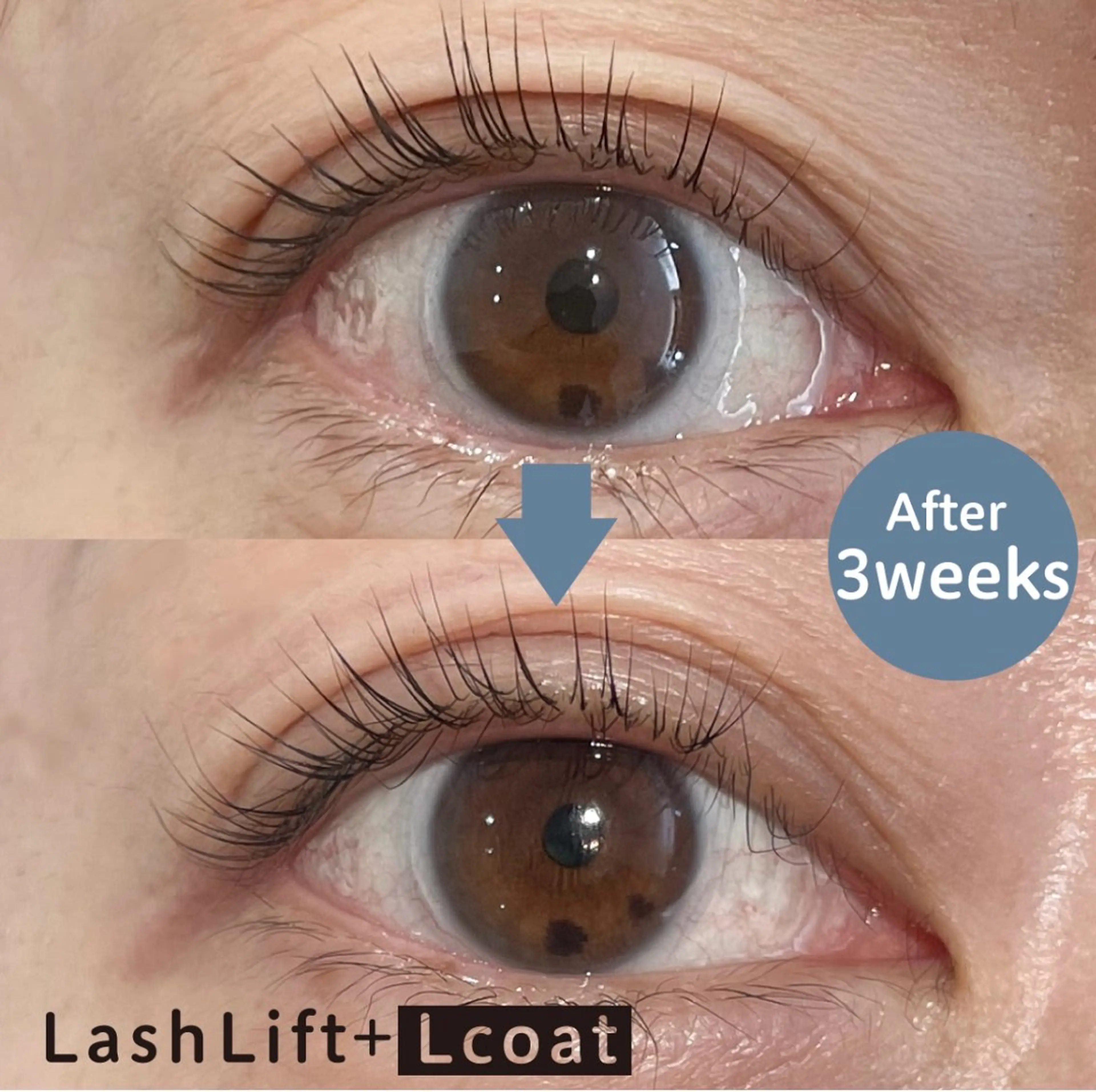 最先端LEDコーティング×パリジェンヌ上‼️の写真