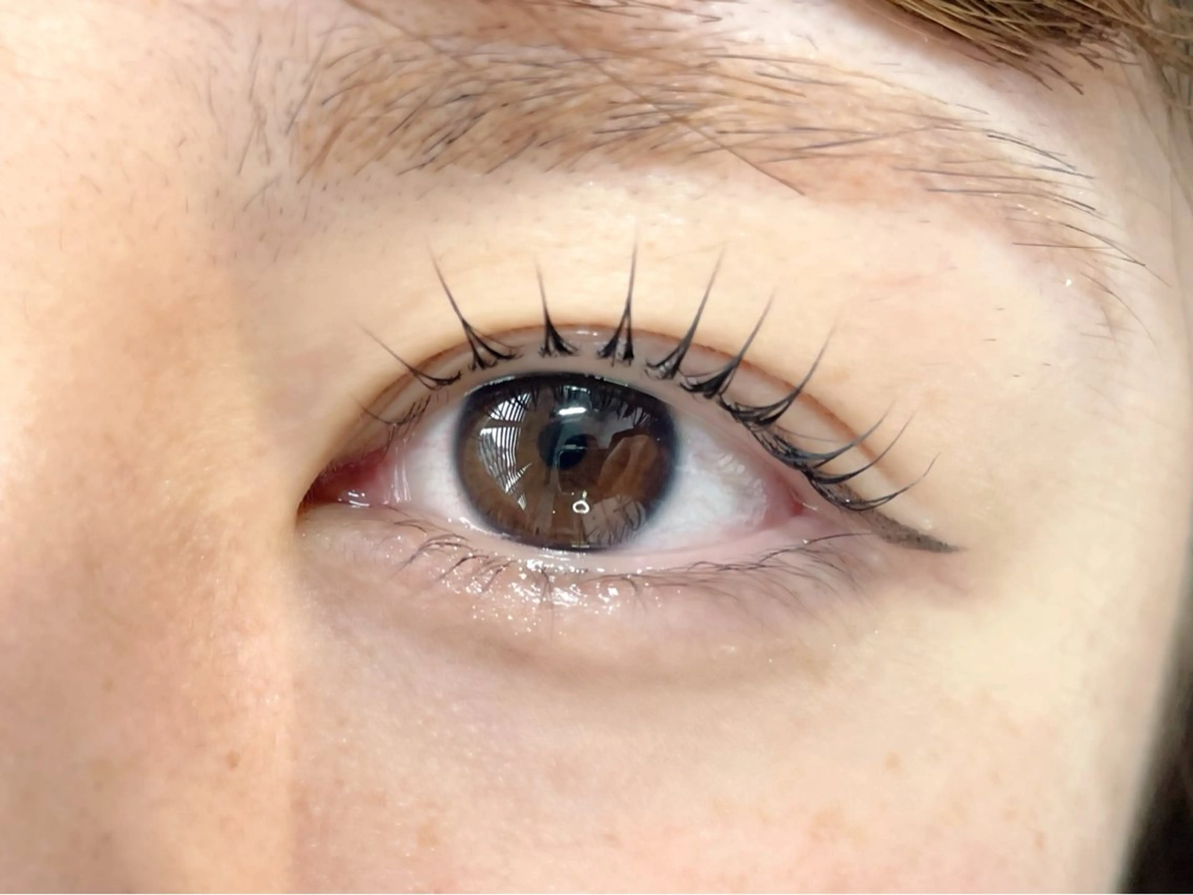 マツエク・マツパ マツパ TOPアイリスト ふたつぎちさとのマツエク・マツパデザイン