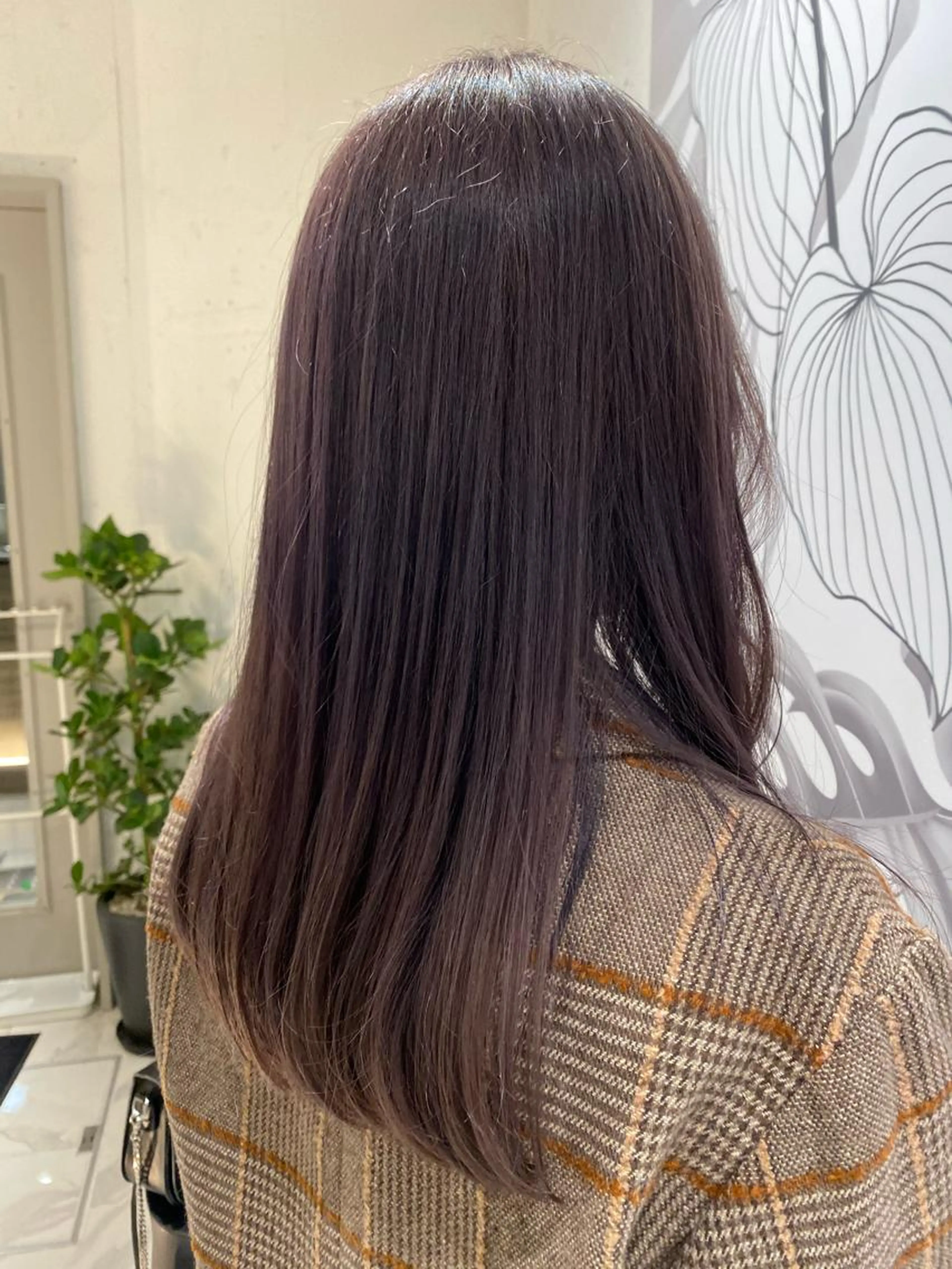 《🌱ケアカット🌱》¥2000 →他メニューとセットの場合は¥1000になります！の写真