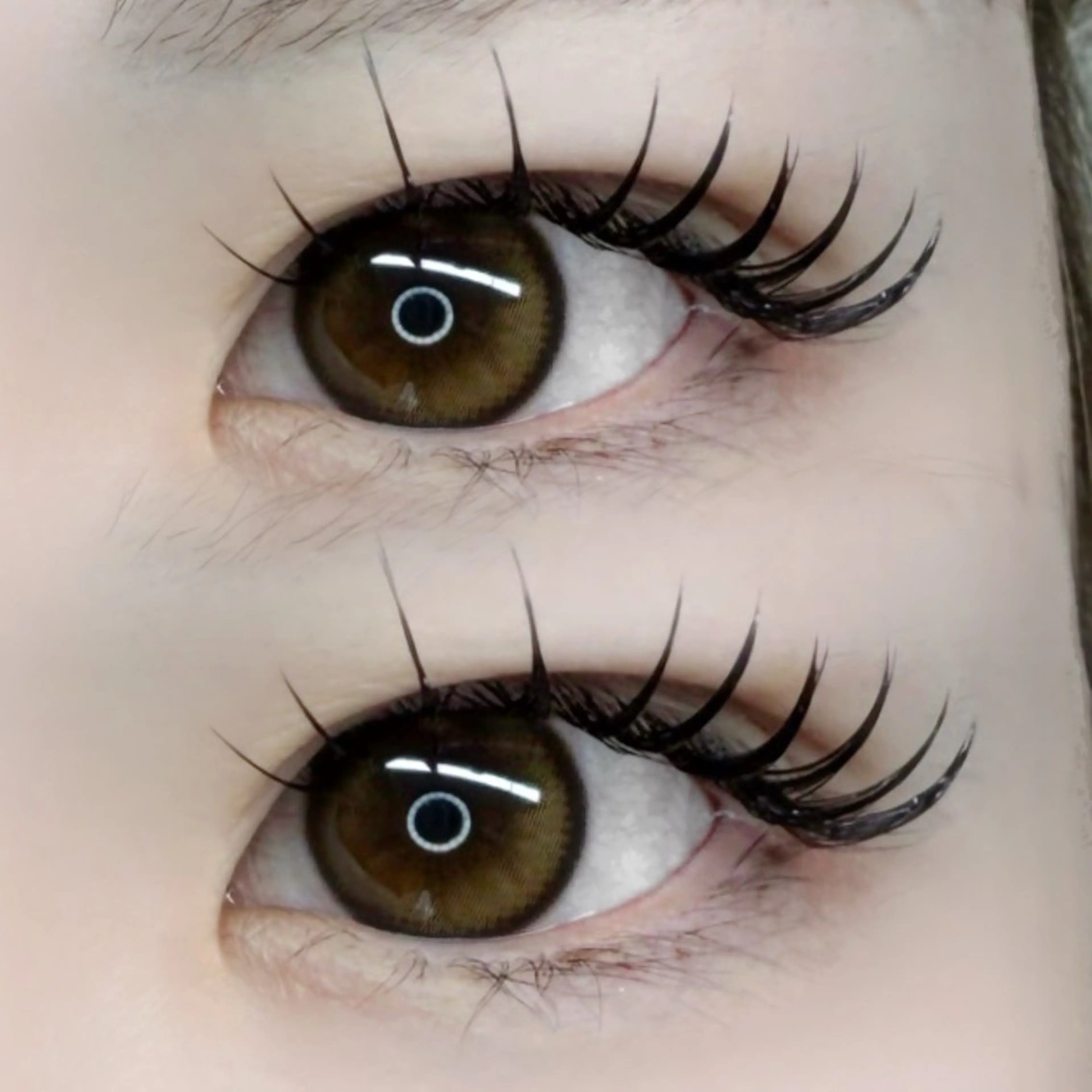 マツエク・マツパ マツエク Iuele立川 momokaのマツエク・マツパデザイン