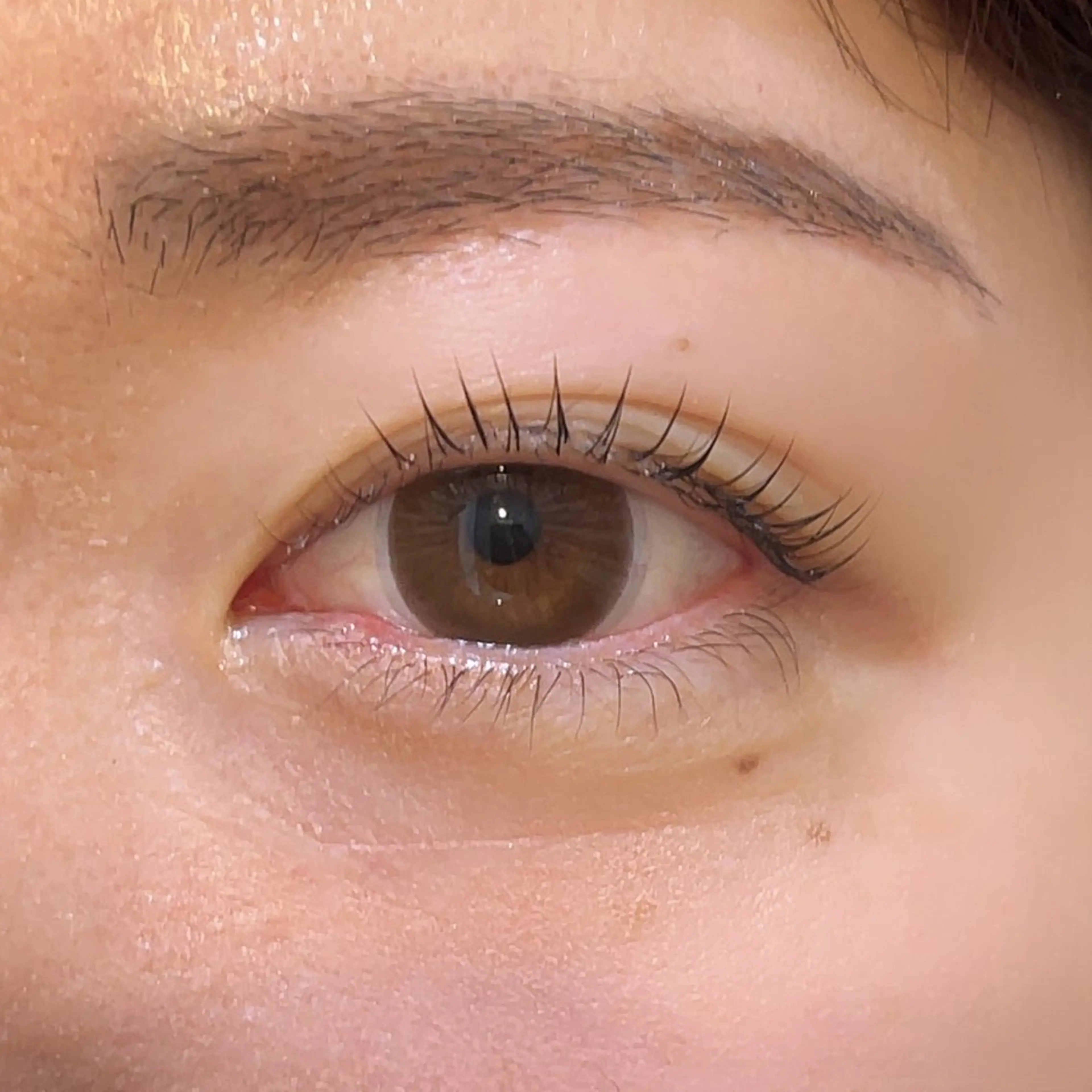 マツエク・マツパ レピア銀座店所属・𝐌𝐚𝐧𝐚 🌙のマツエク・マツパデザイン