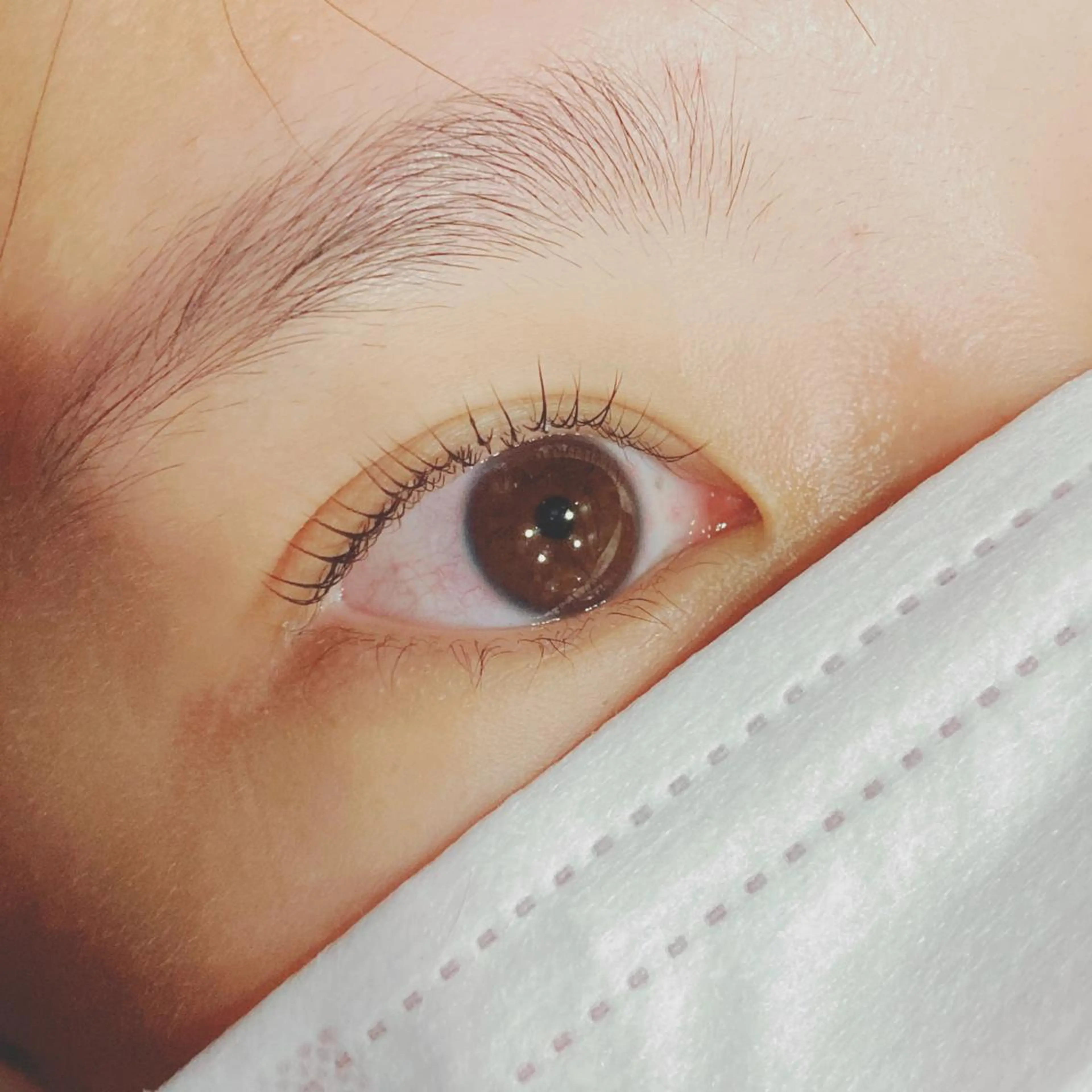 マツエク・マツパ ナチュラル まつげパーマ マツパ tozone eye AYANOのマツエク・マツパデザイン