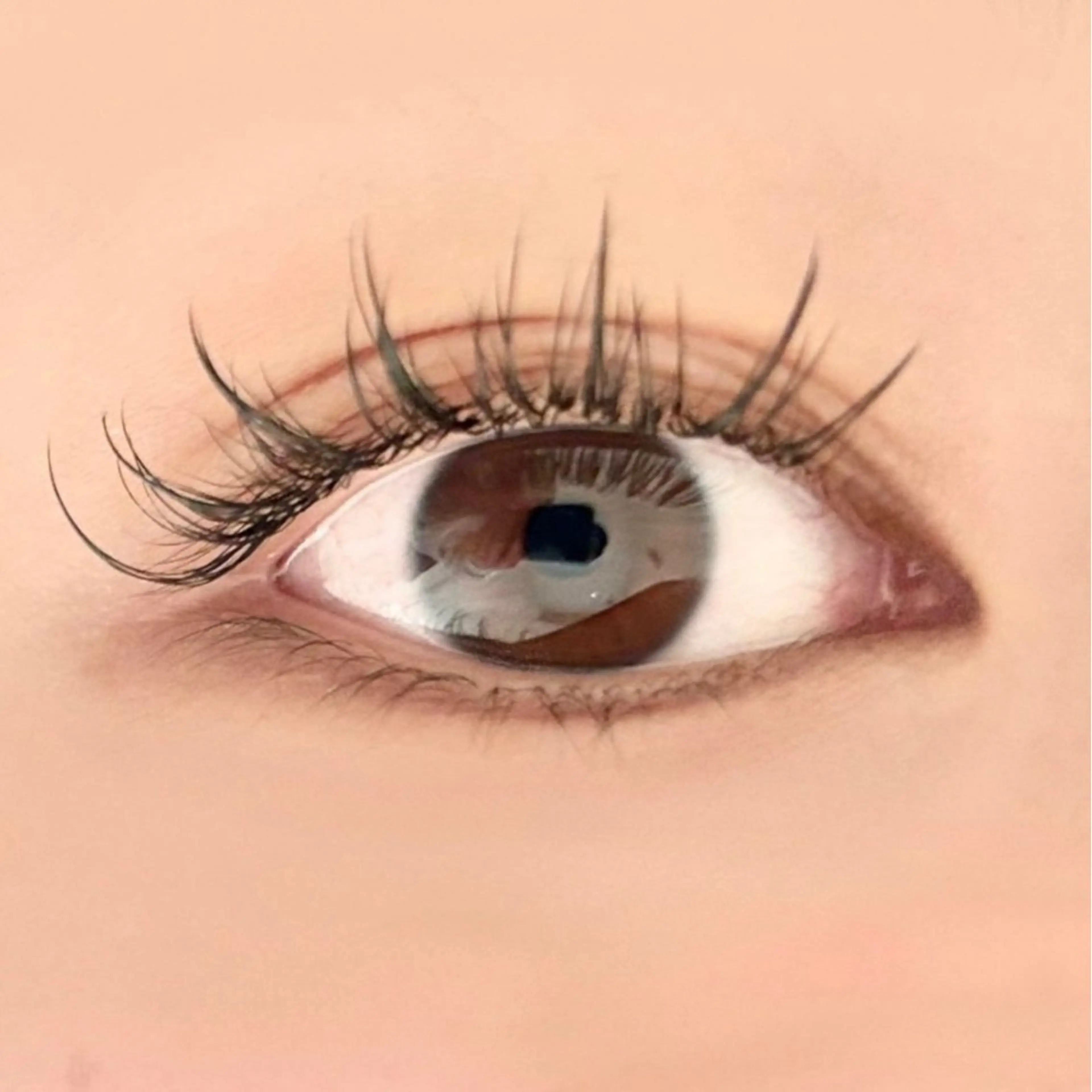 マツエク・マツパ ワンホンマツエク Lowen 野原の眉毛・アイブロウイメージ