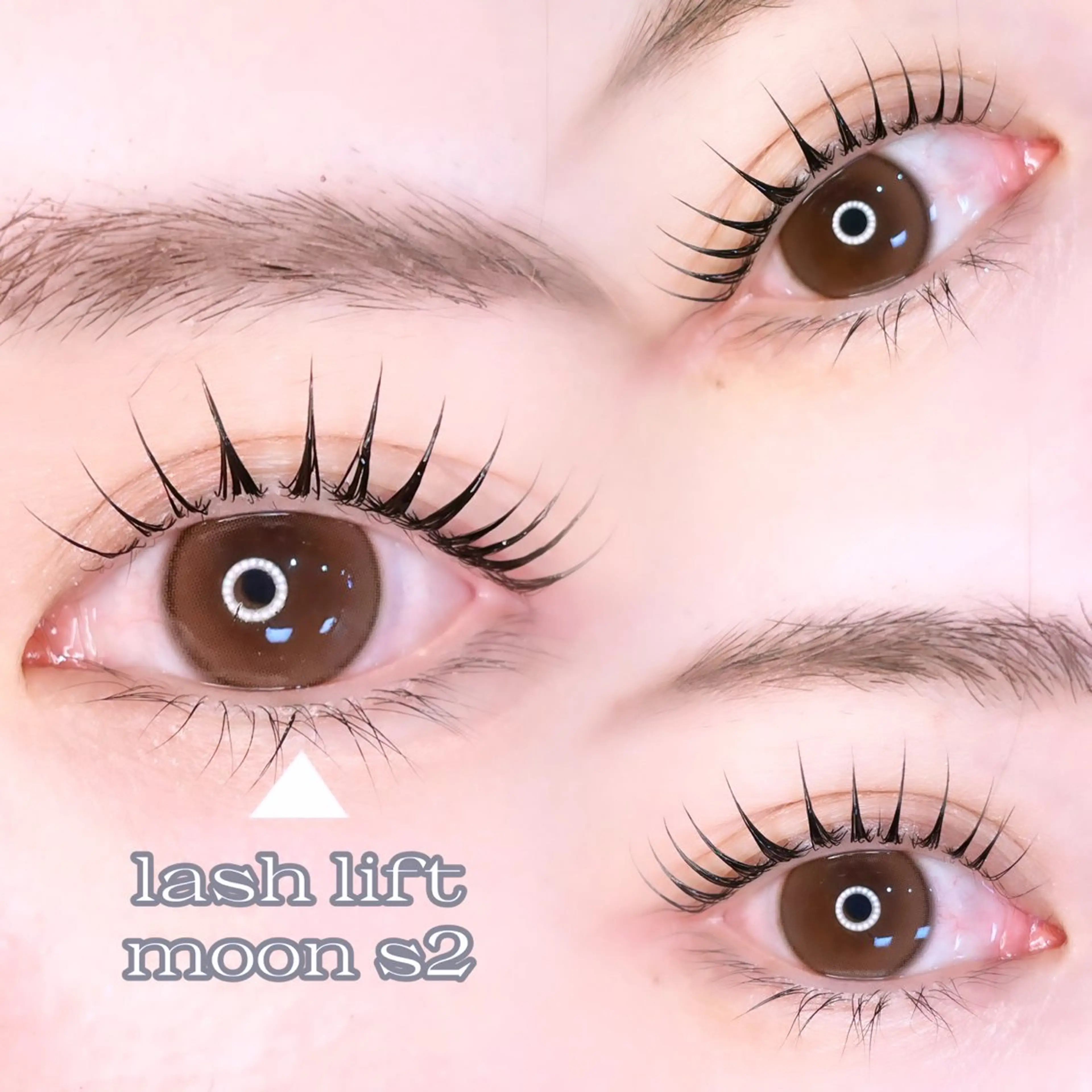 【3/14まで価格👀✨】パリジェンヌorラッシュリフト   トリートメントサービス無料！ミニモ学割⚠️再来様＋500円の写真