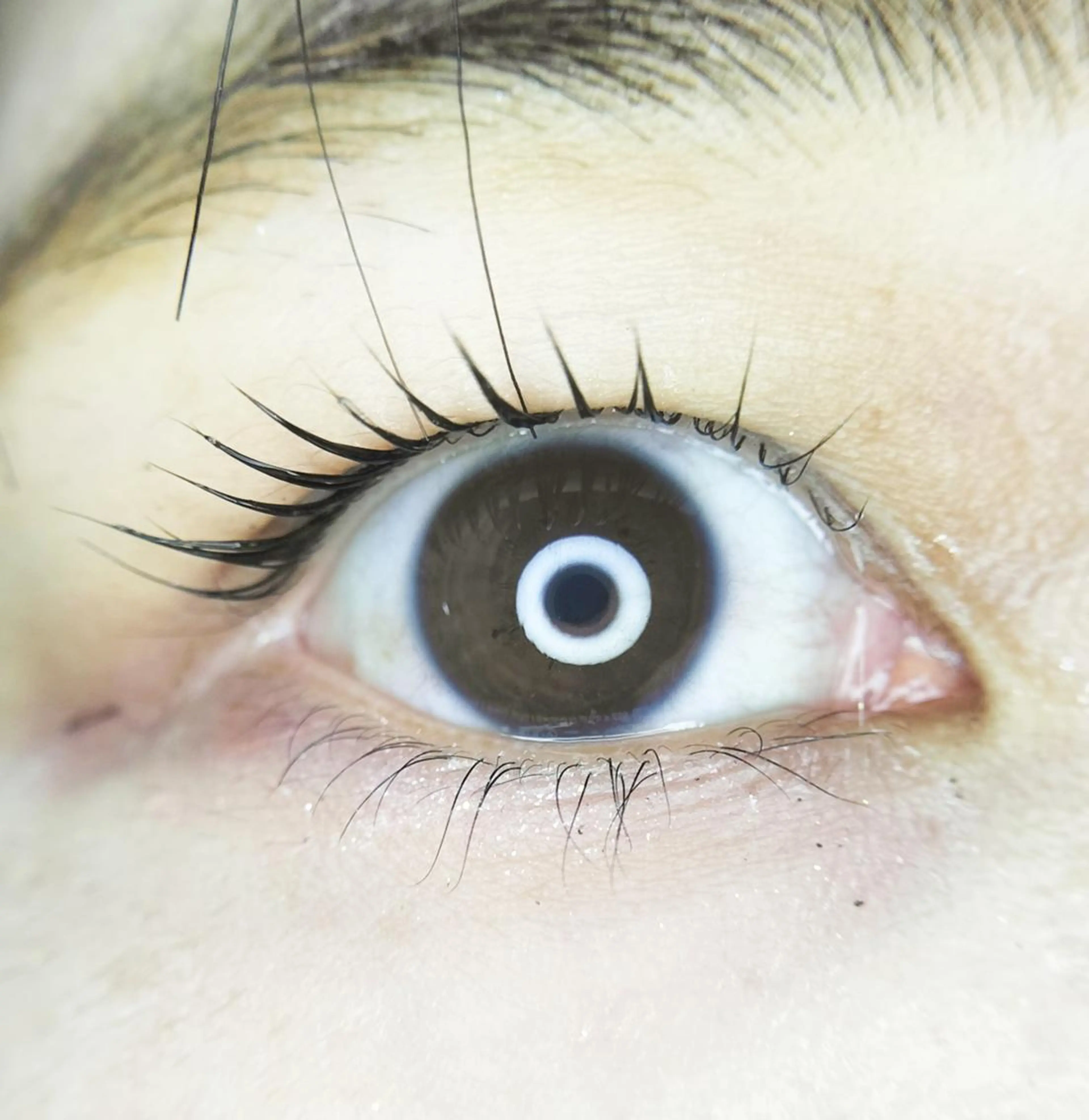 マツエク・マツパ Rian 池袋のマツエク・マツパデザイン