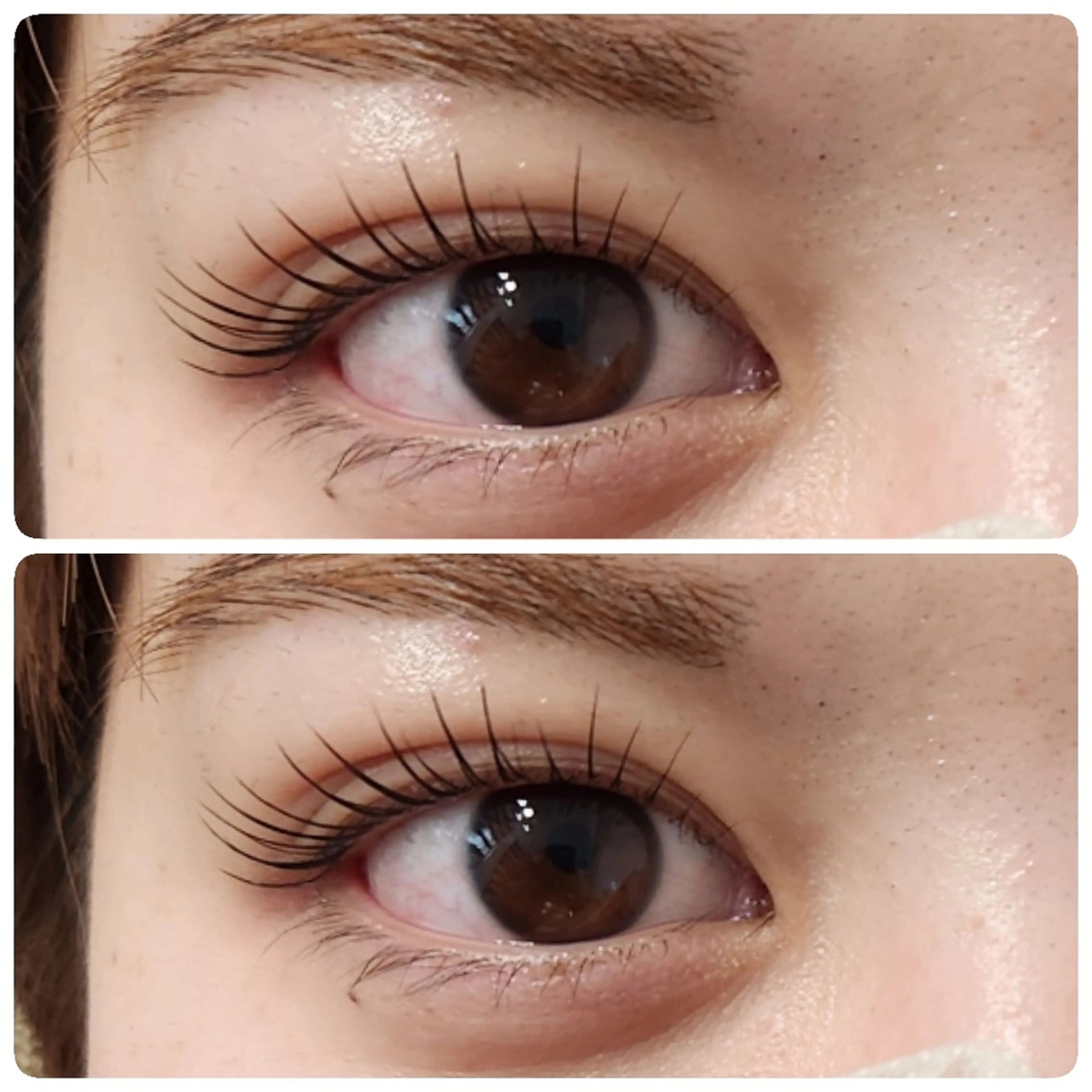 マツエク・マツパ カラーマツエク パリジェンヌラッシュリフト マツパ beautysalon ASHA所属・ASHA ikumiのマツエク・マツパデザイン