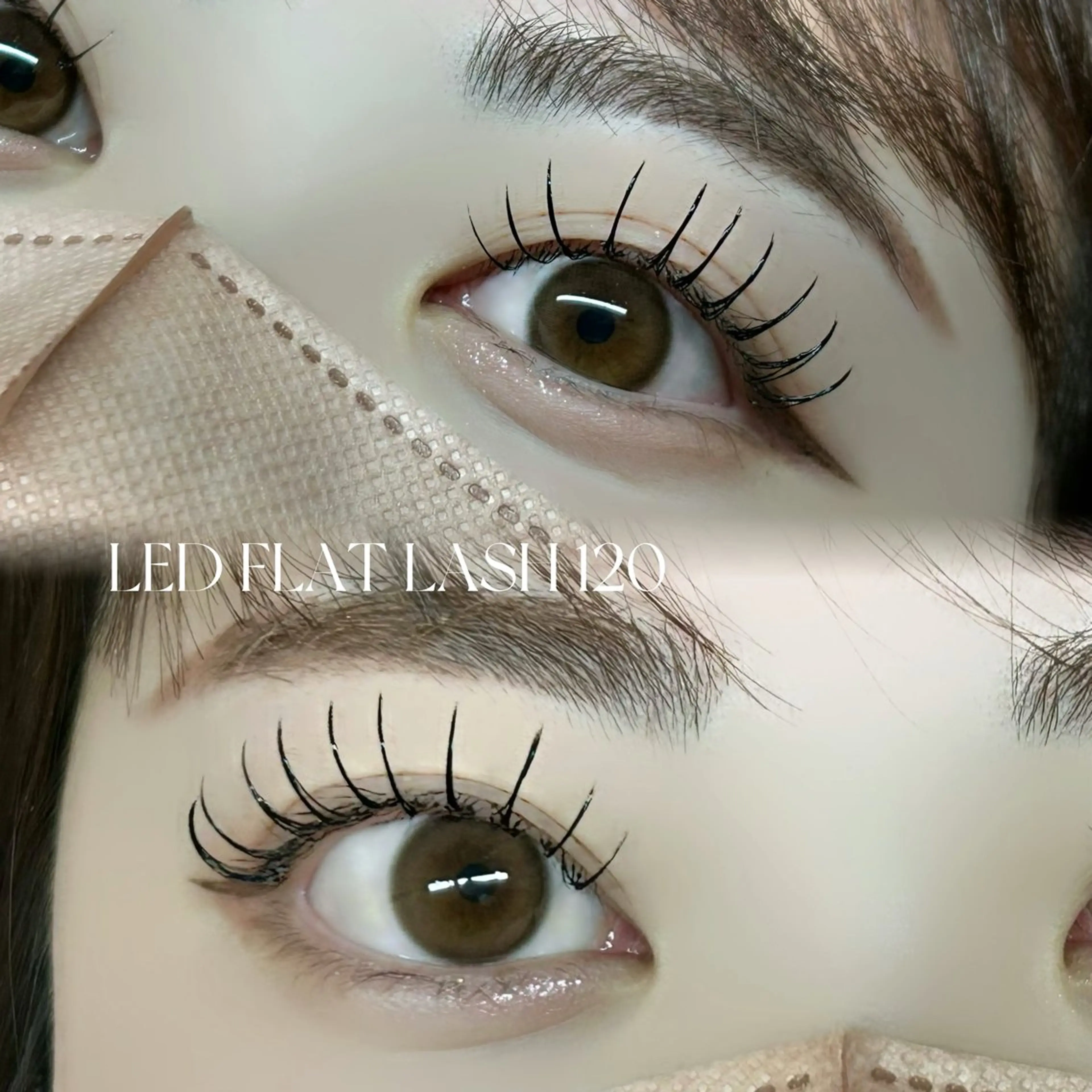 圧倒的モチ🪄LEDエクステ🐻ᩚフラットラッシュ120本 ¥8,100🎀ིྀの写真