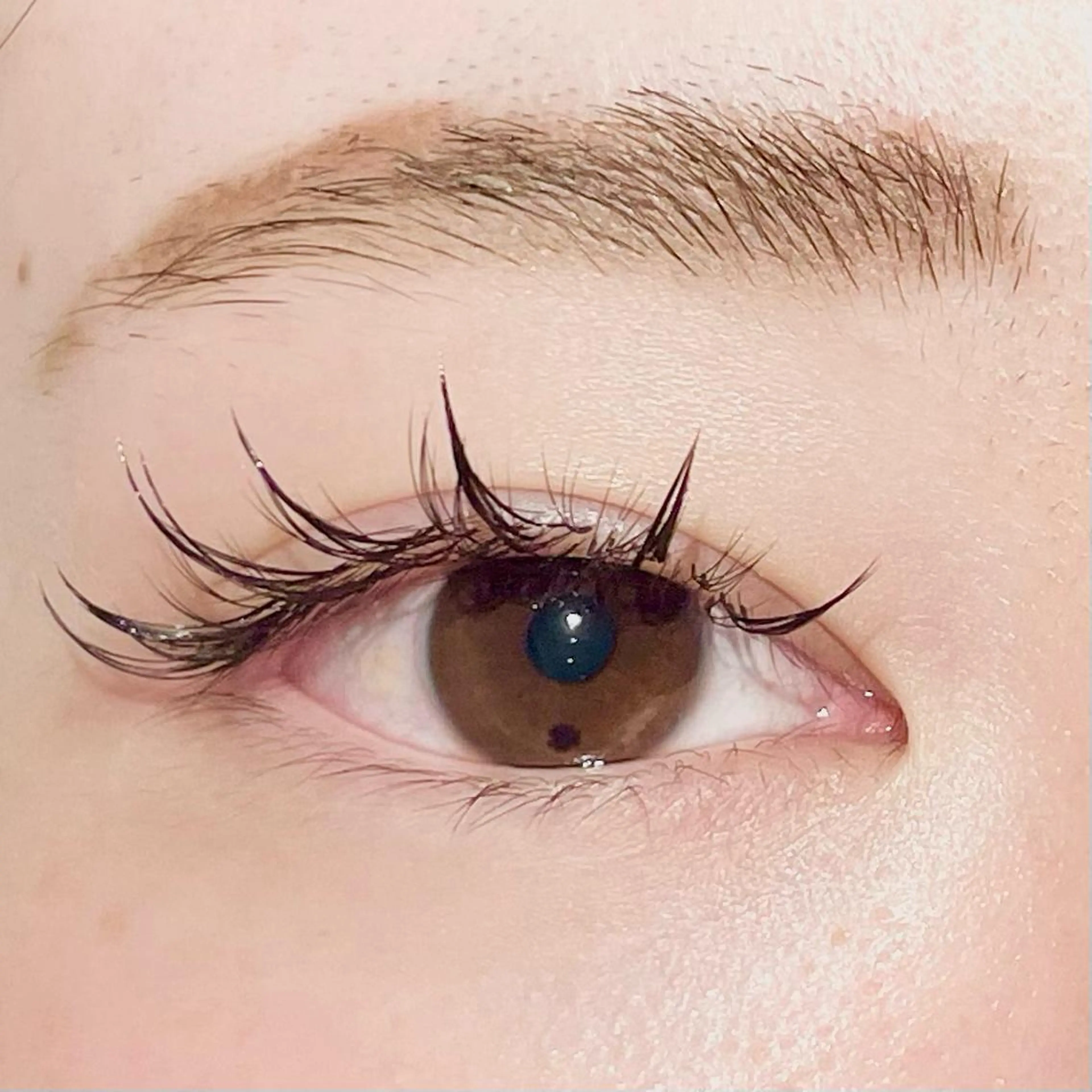 マツエク・マツパ ボリュームラッシュ ワンホンマツエク 飯田/Tomo's HairDesignのマツエク・マツパデザイン