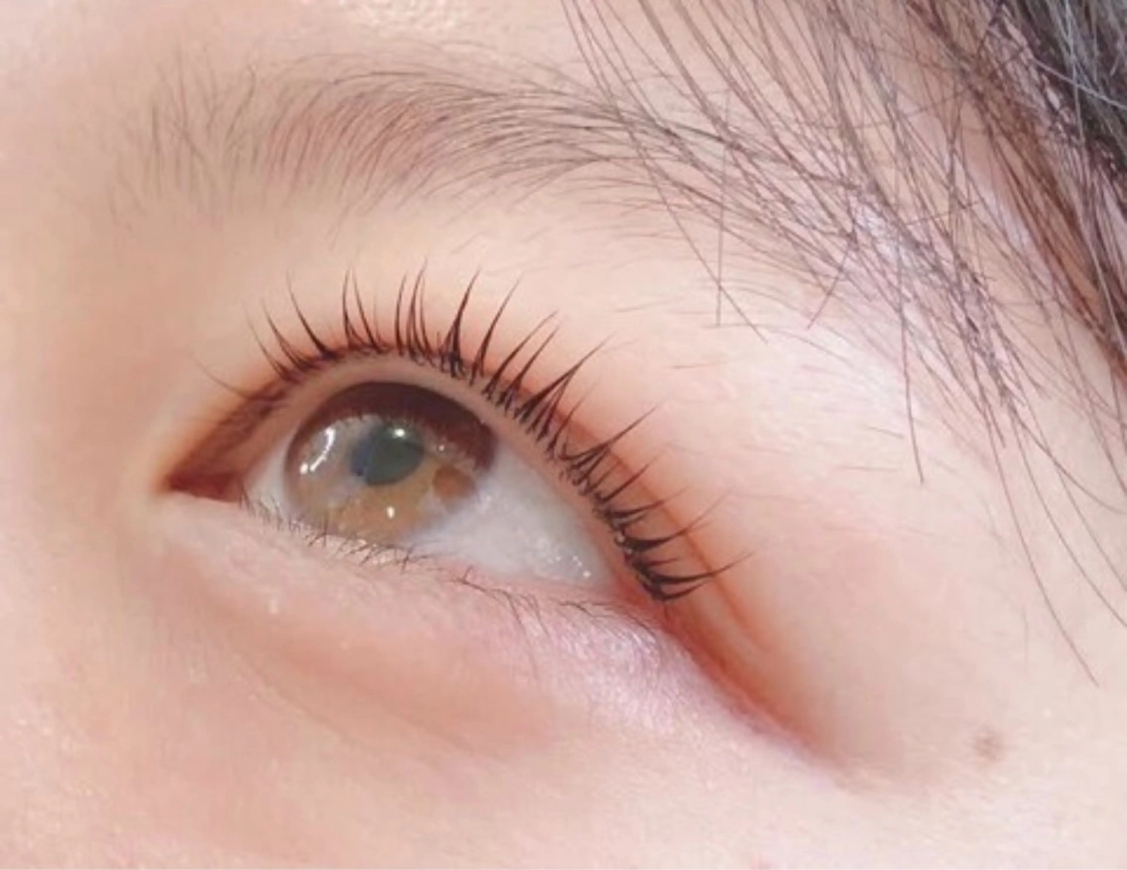 🌼高持続ラッシュリフト🌼「みつけたらラッキークーポン✨」の写真