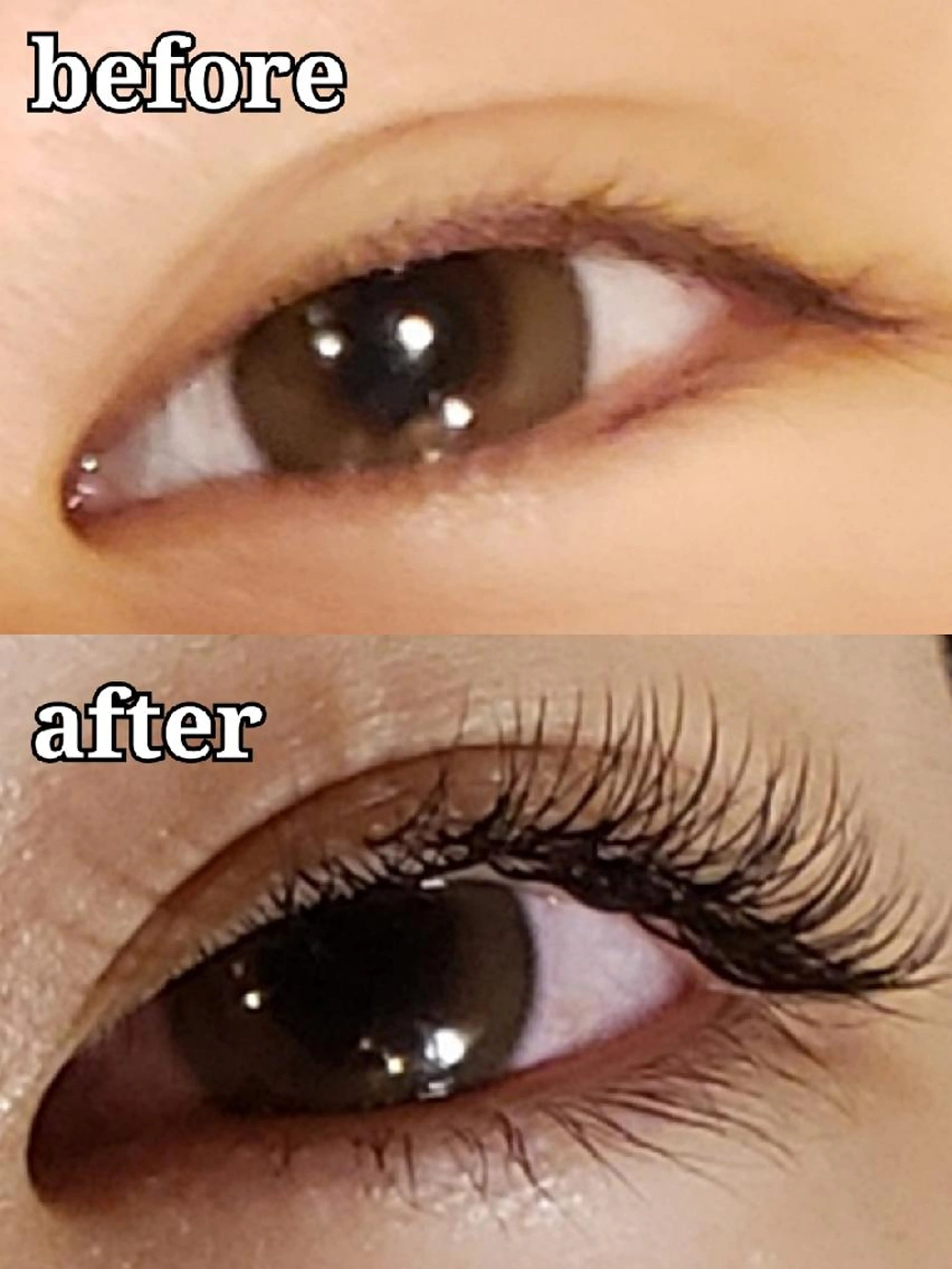 【ミニモ限定価格】U24初回限定　学生証提示お願いしています。シングルまつ毛エクステ100本(片目50本)の写真