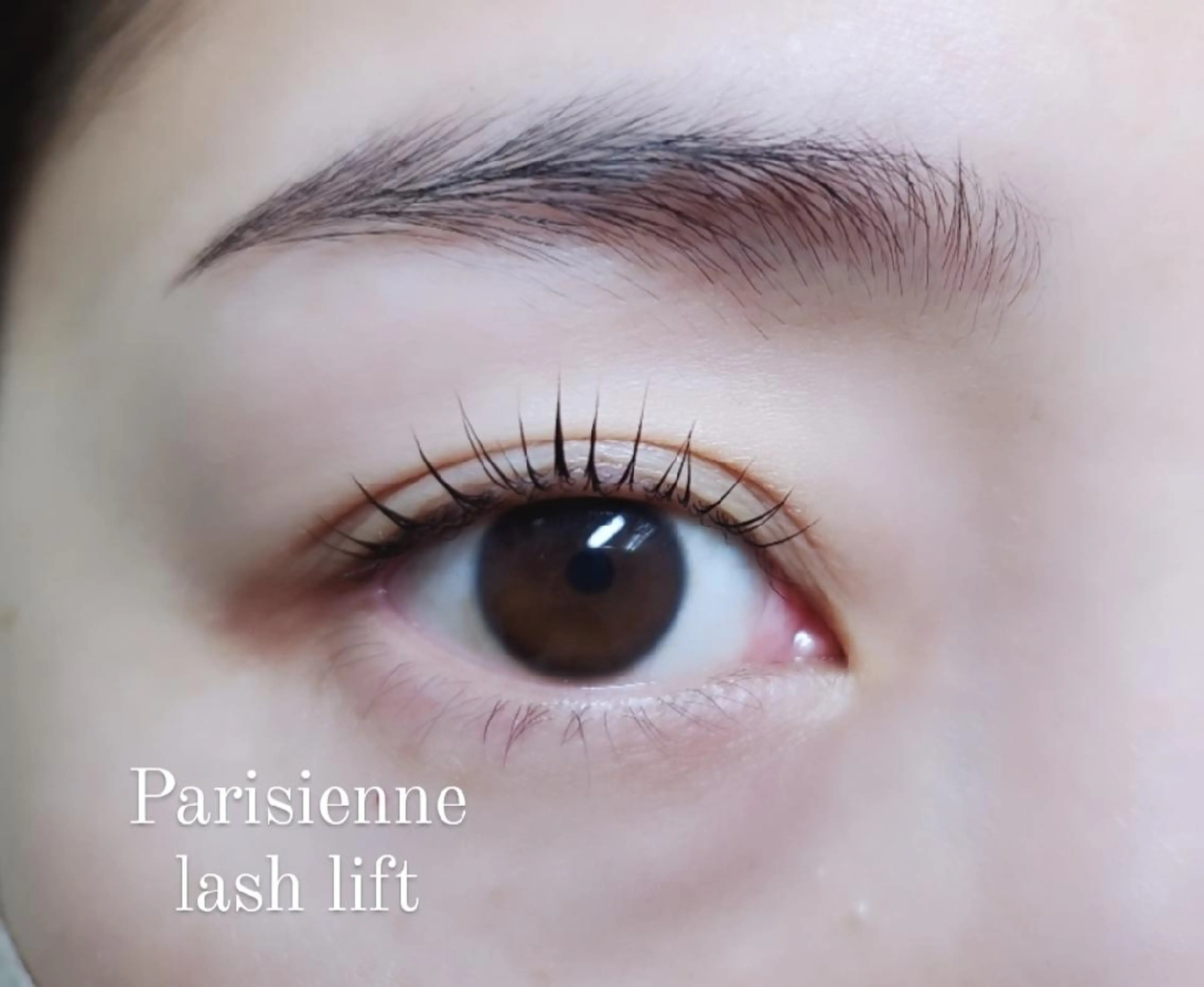 マツエク・マツパ パリジェンヌラッシュリフト eyelashsalon   rocolush 所属・★Hoshino★ 新宿西口 ·͜·🌟のマツエク・マツパデザイン
