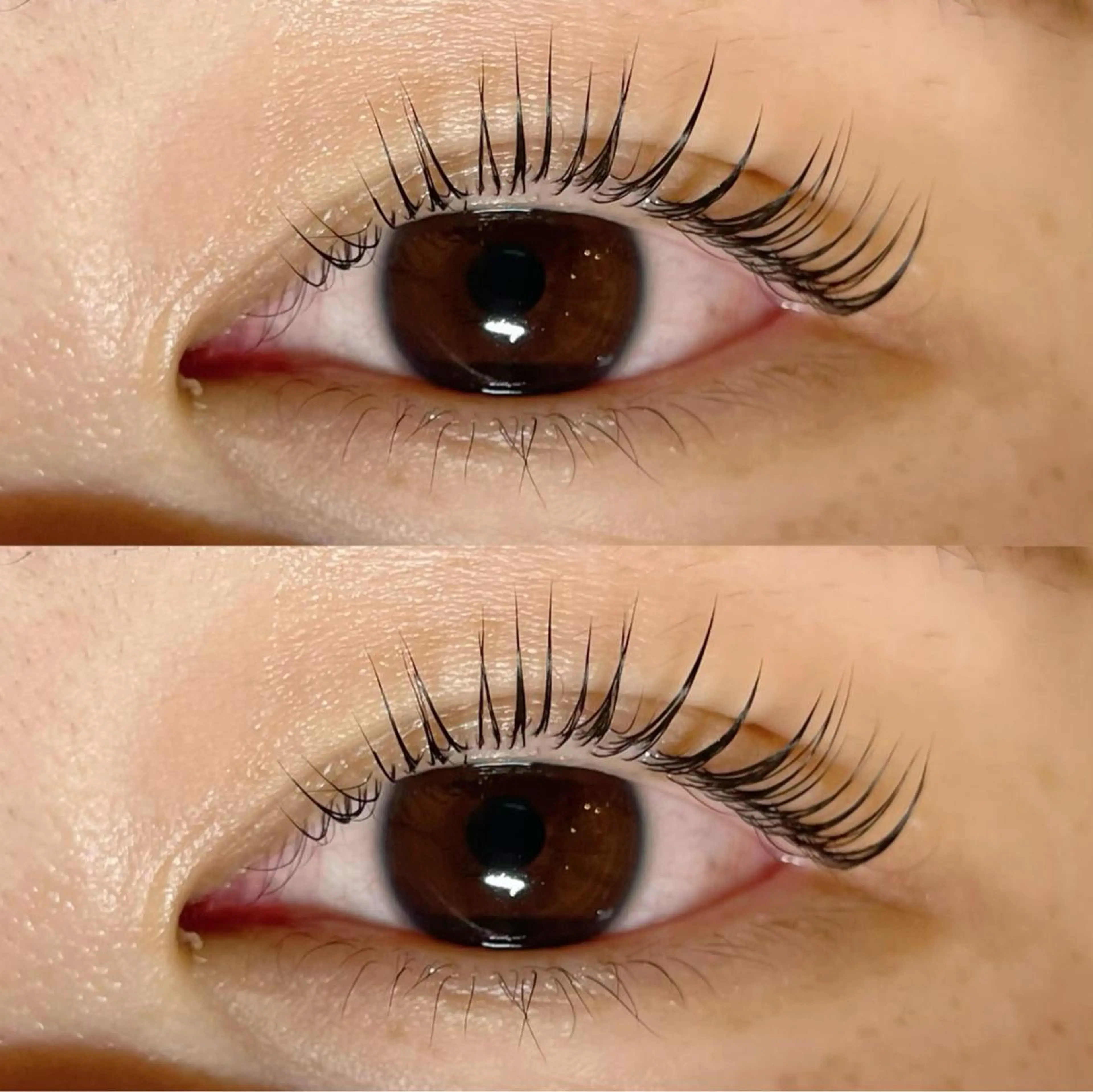 マツエク・マツパ パリジェンヌラッシュリフト Sakura - blow京橋のマツエク・マツパデザイン