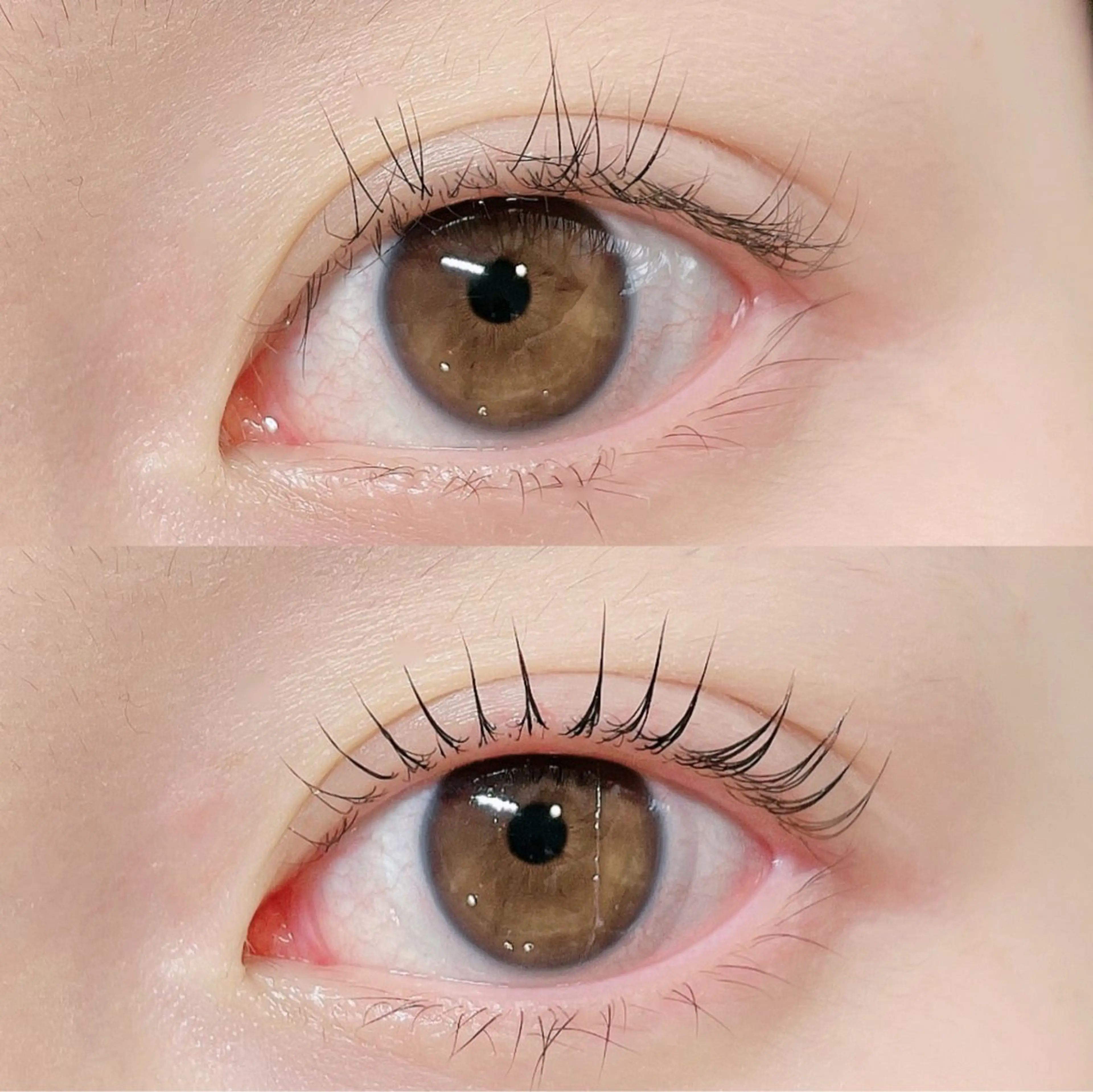 マツエク・マツパ 韓国風マツエク パリジェンヌラッシュリフト まつげパーマ 下まつげエクステ 一重×まつ毛パーマ マツパ 🎀Lino 中目黒 TAKAMI🐈のマツエク・マツパデザイン