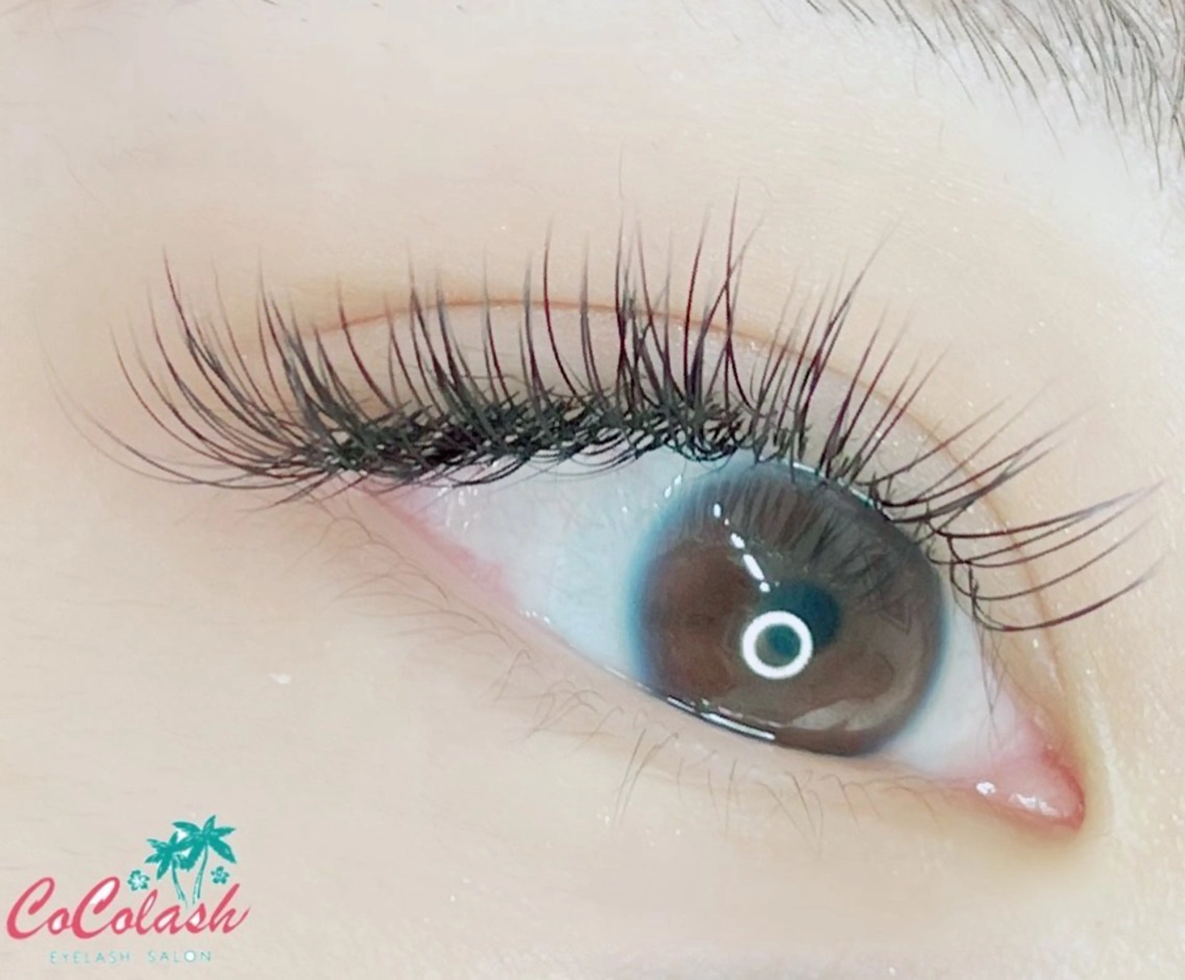 マツエク・マツパ ココラッシュ所属・ココラッシュ🤍 Hinakoのマツエク・マツパデザイン