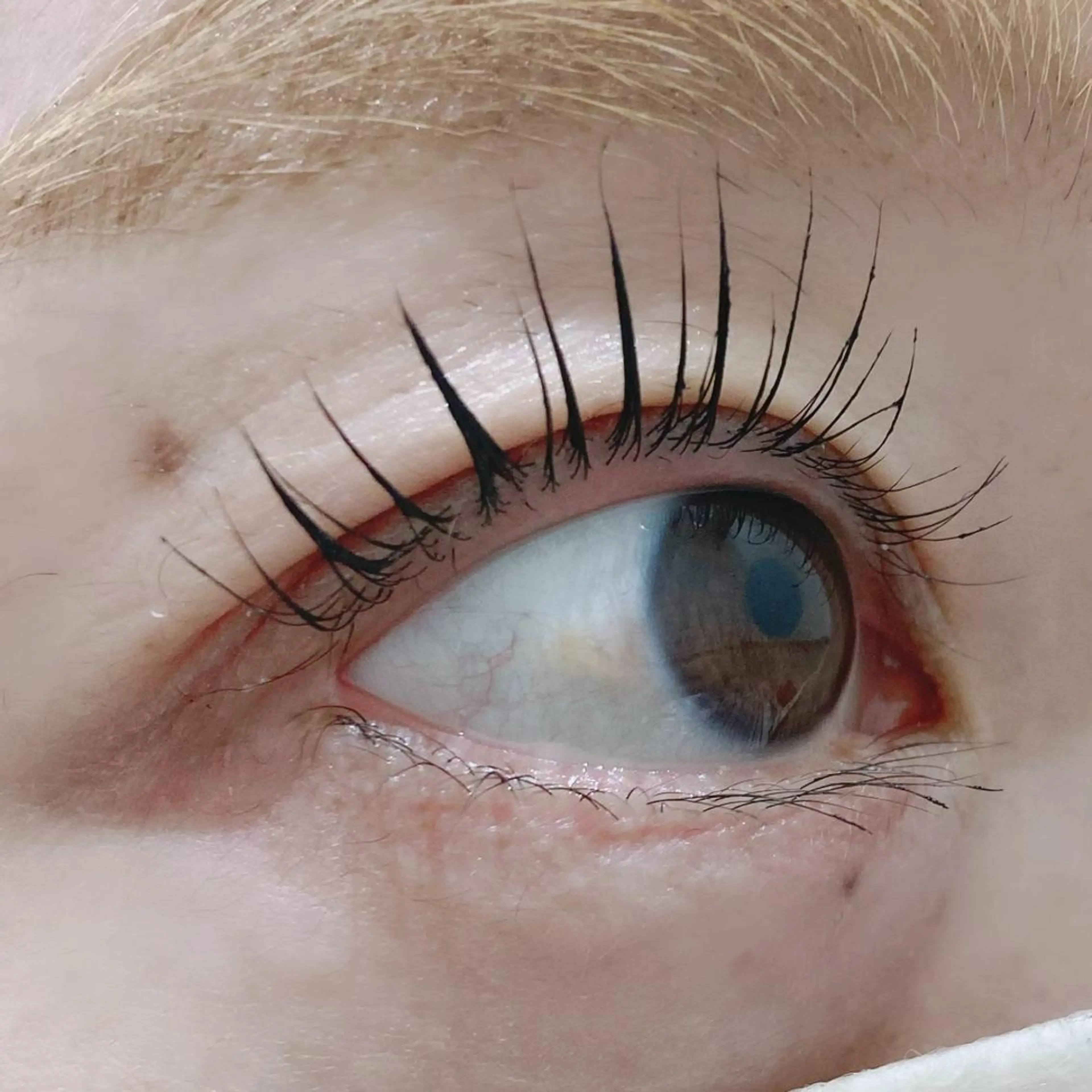 マツエク・マツパ パリジェンヌラッシュリフト EYELASHSALON  PINO所属・eyelash salon PINOのマツエク・マツパデザイン