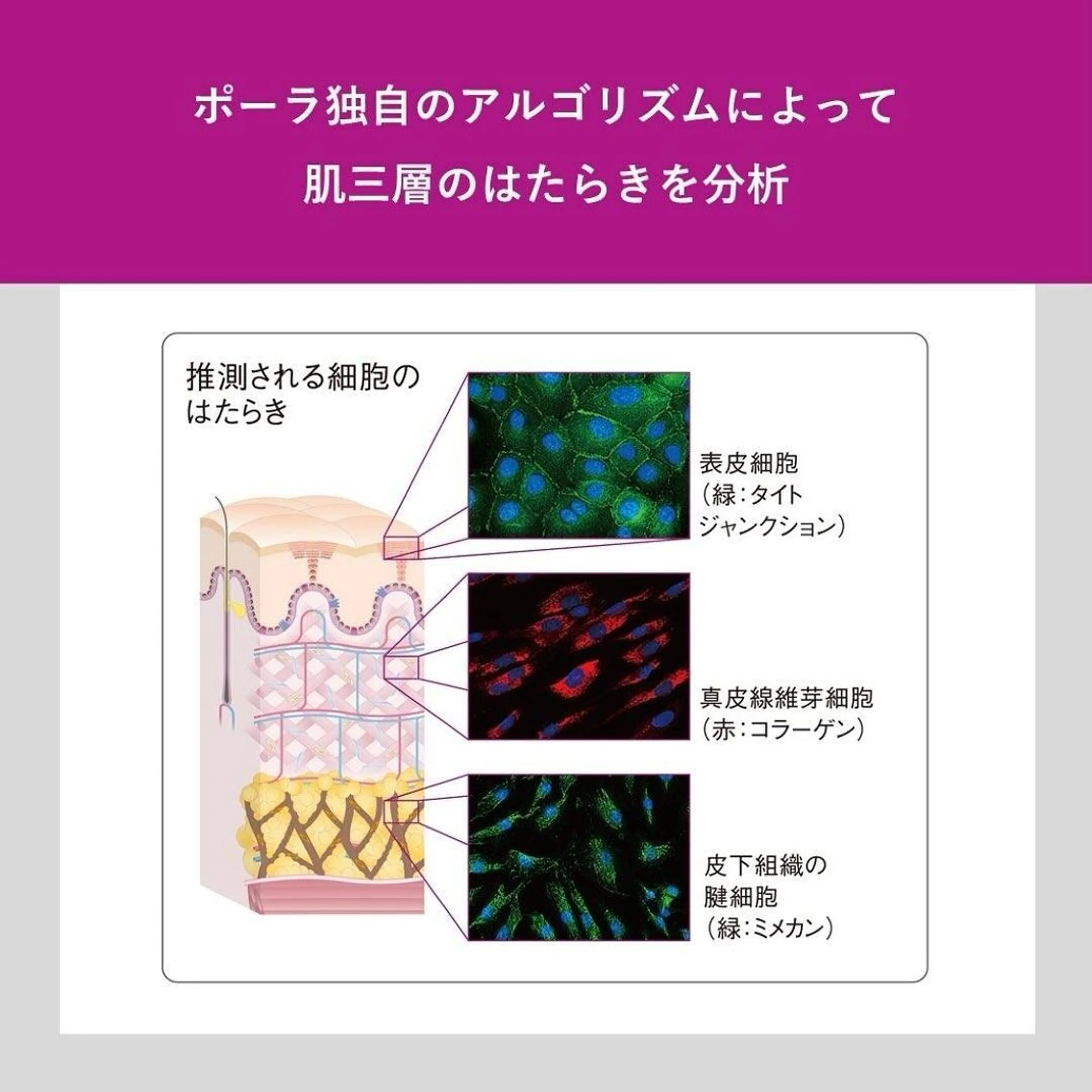 ポーラ　ザ　ビューティー　多治見けやき通り店所属・担当 しばたのエステ・リラクイメージ
