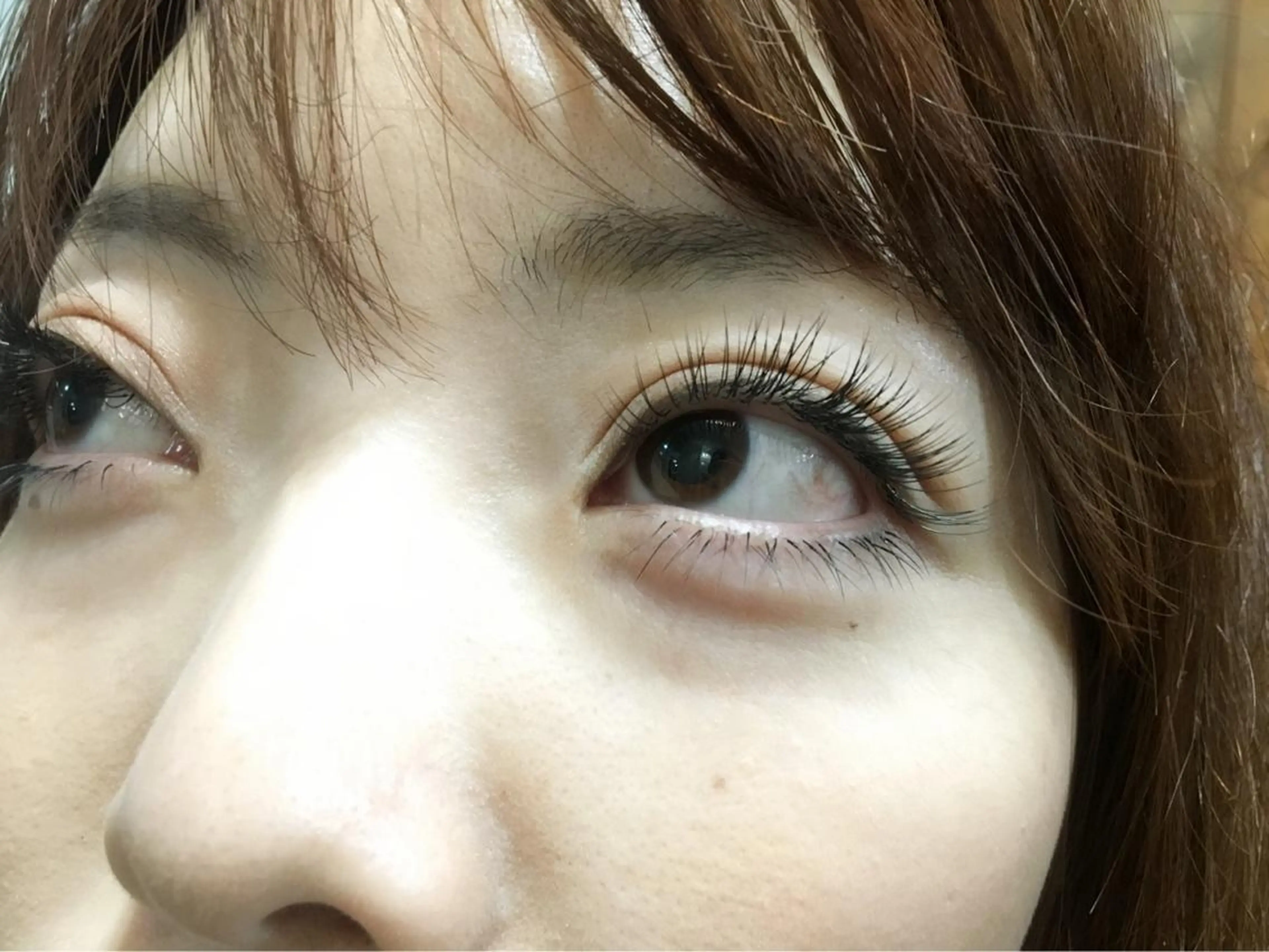 毛質選択可能　オフ込み140本の写真