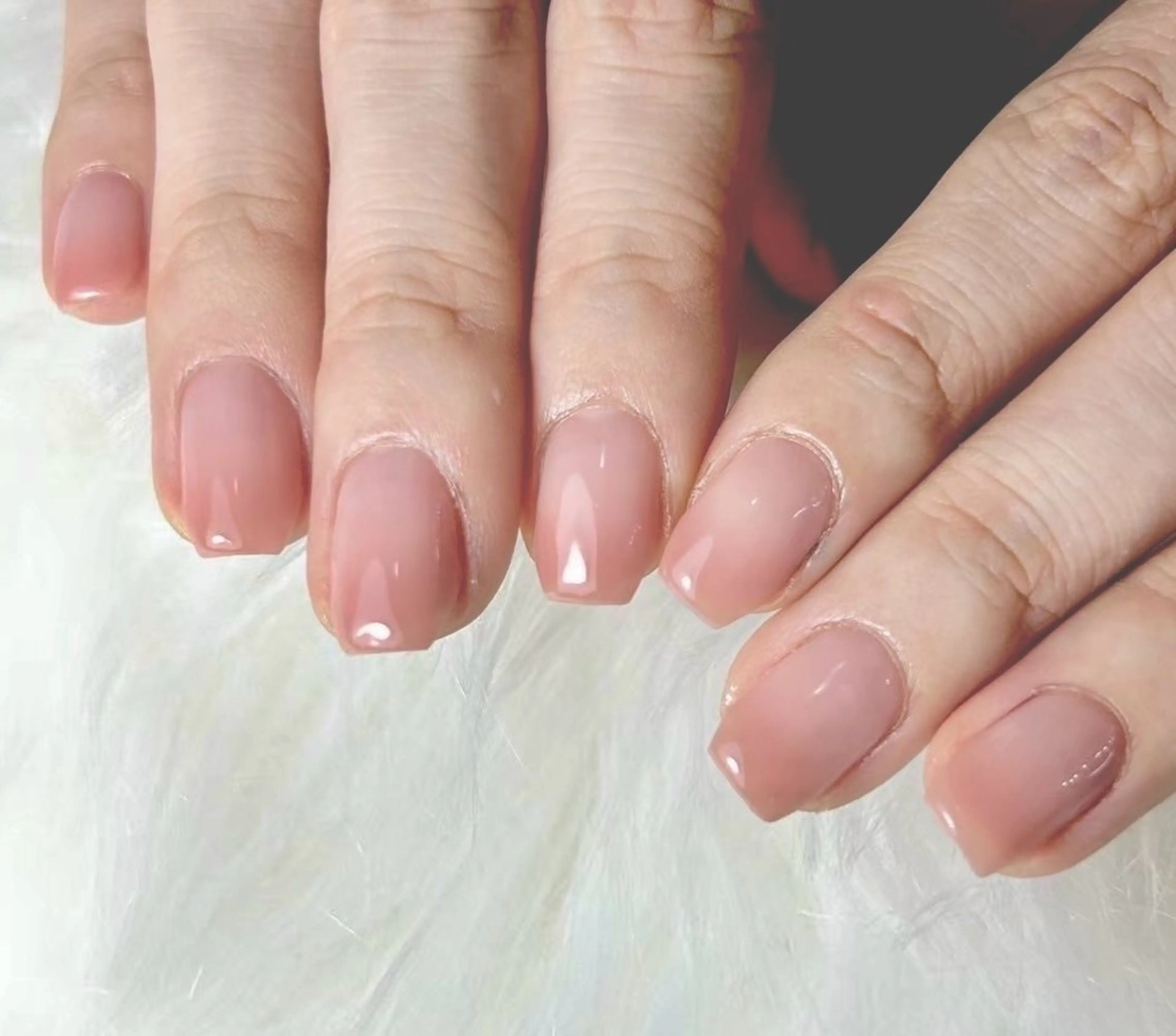 《新規限定価格》グラデーションの写真