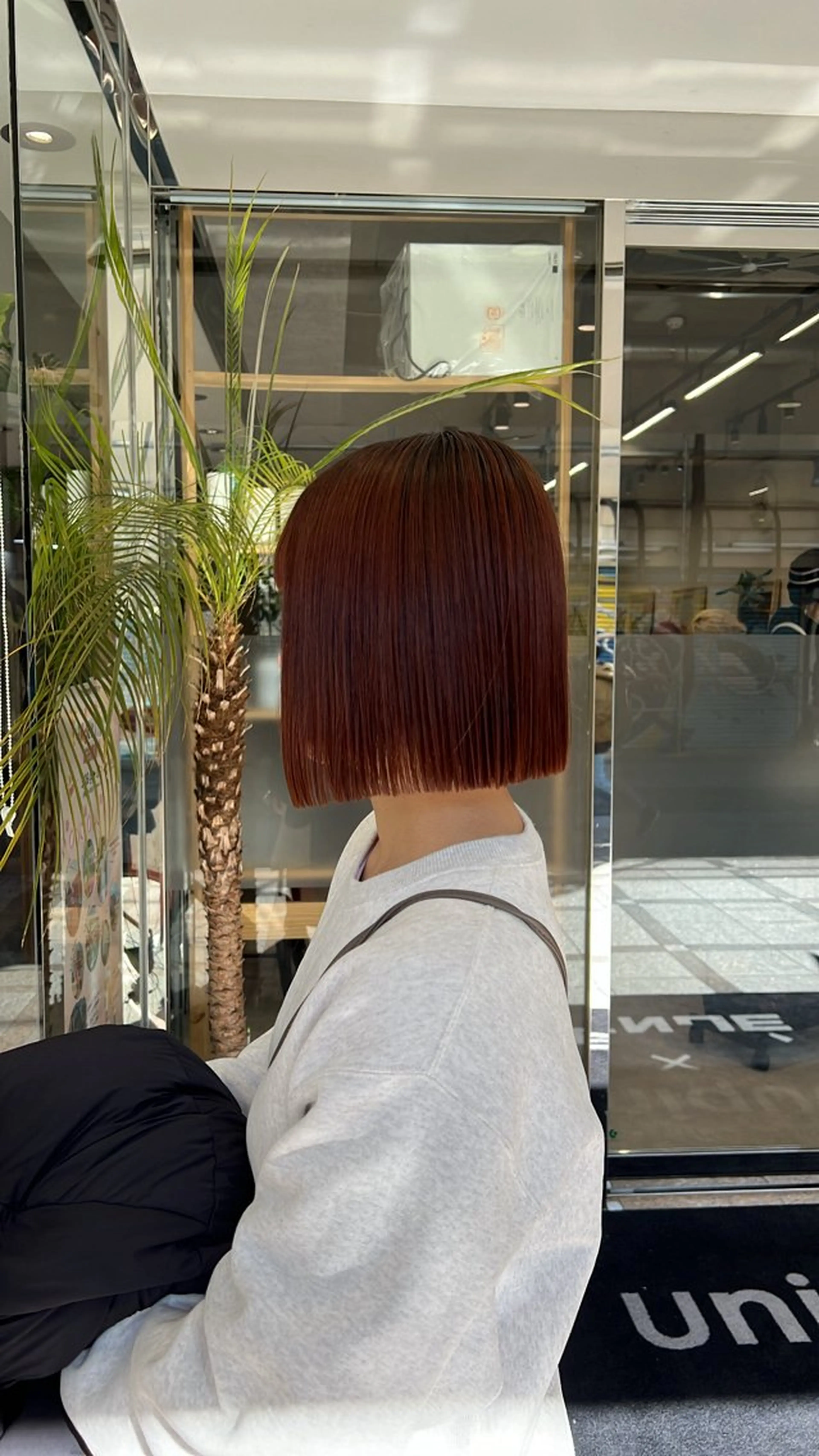 🍒初回限定🍒　🤍カット+ワンカラーの写真