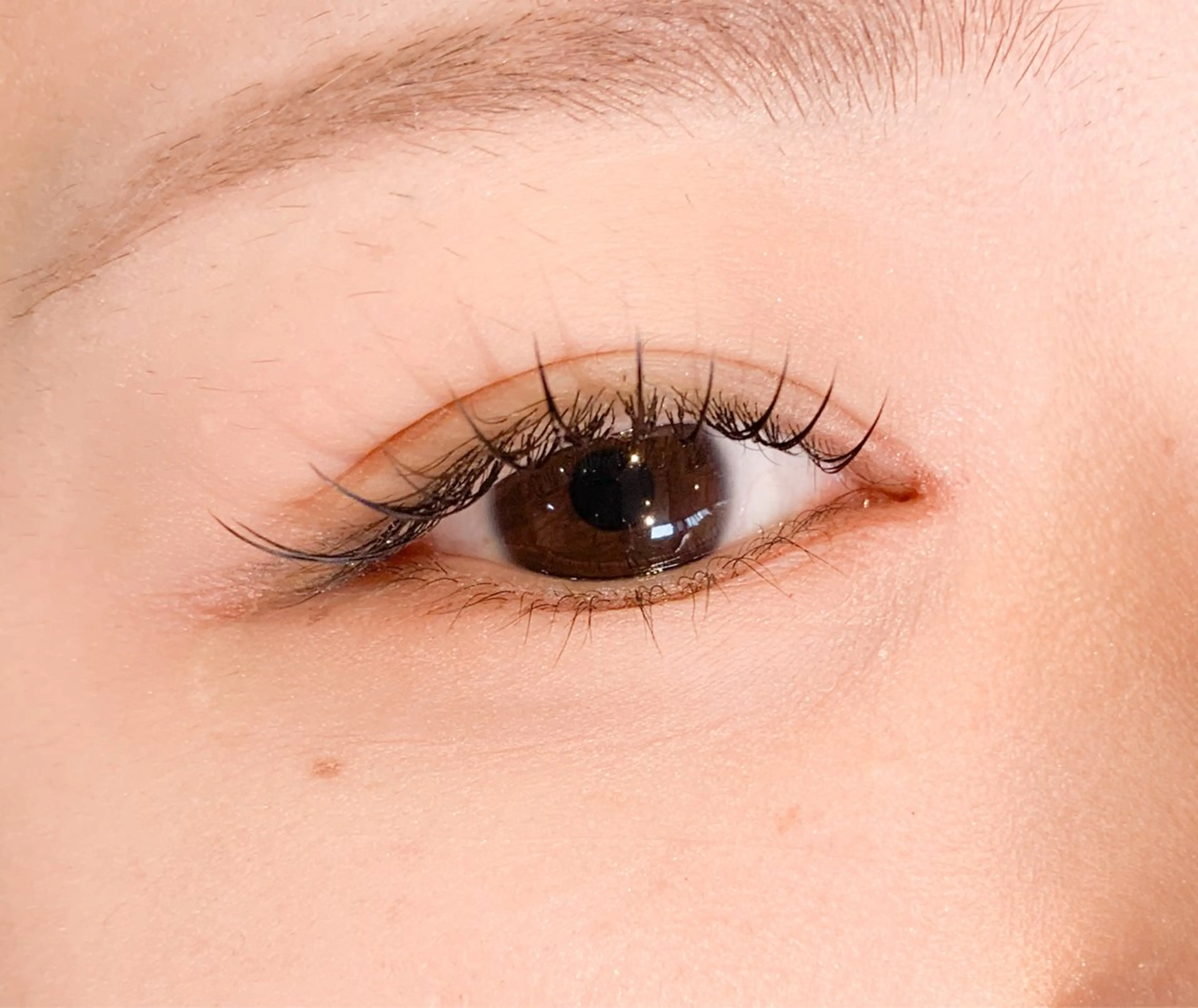 マツエク・マツパ サルサグレイス千葉店 塩井のマツエク・マツパデザイン