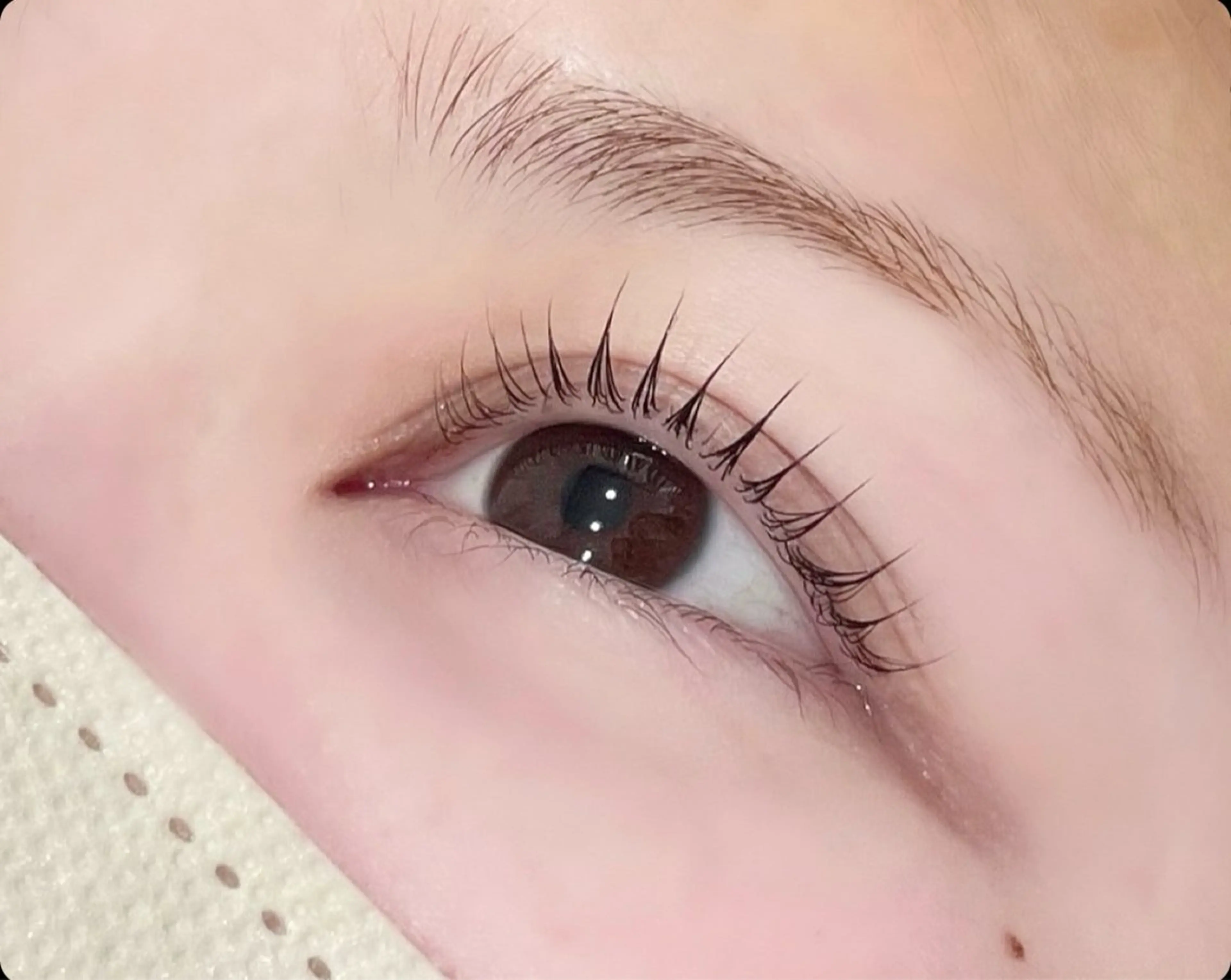 ⚠️平日限定✨パリジェンヌorまつげパーマ＋ケラチントリートメント✨の写真