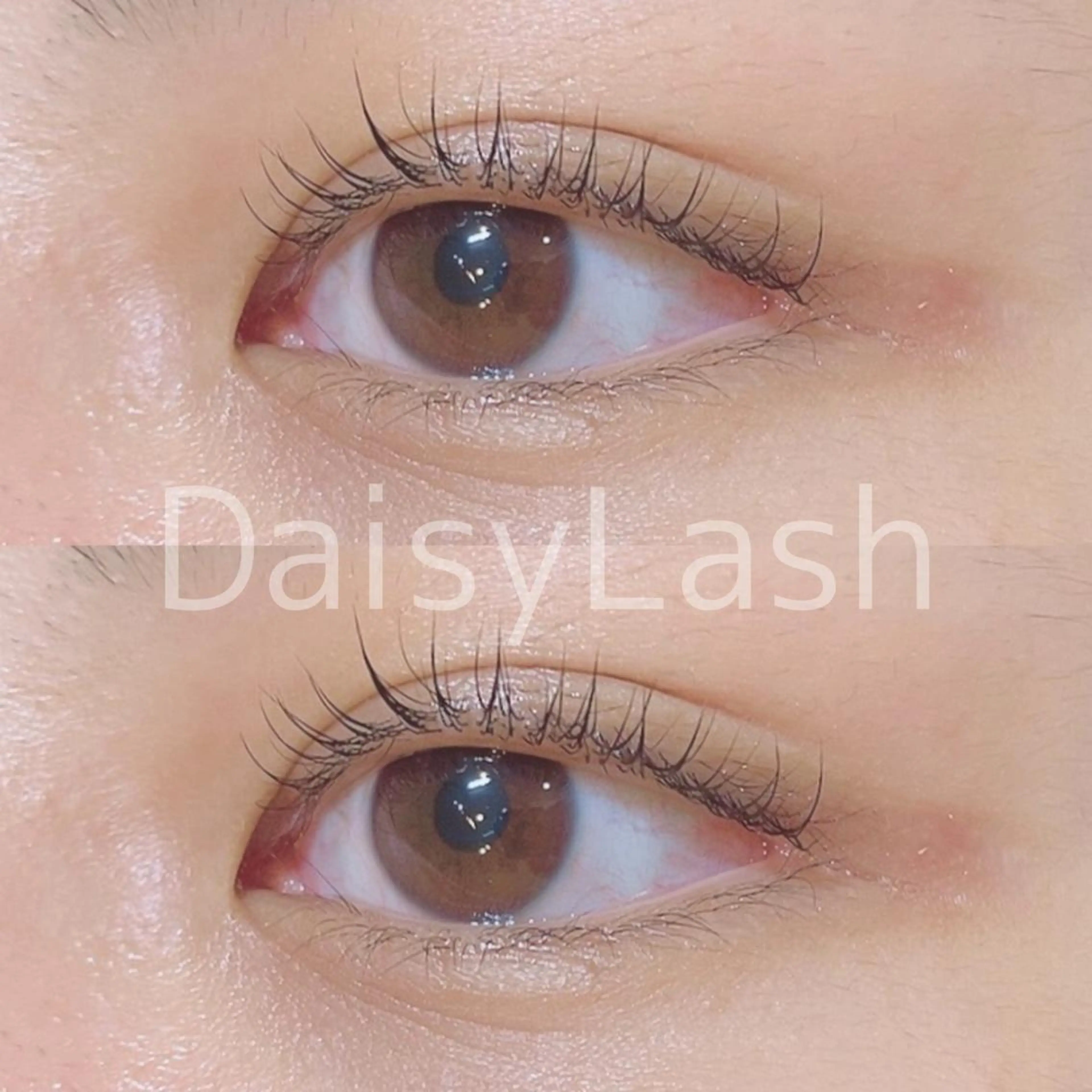 マツエク・マツパ DaisyLash 京橋店のマツエク・マツパデザイン