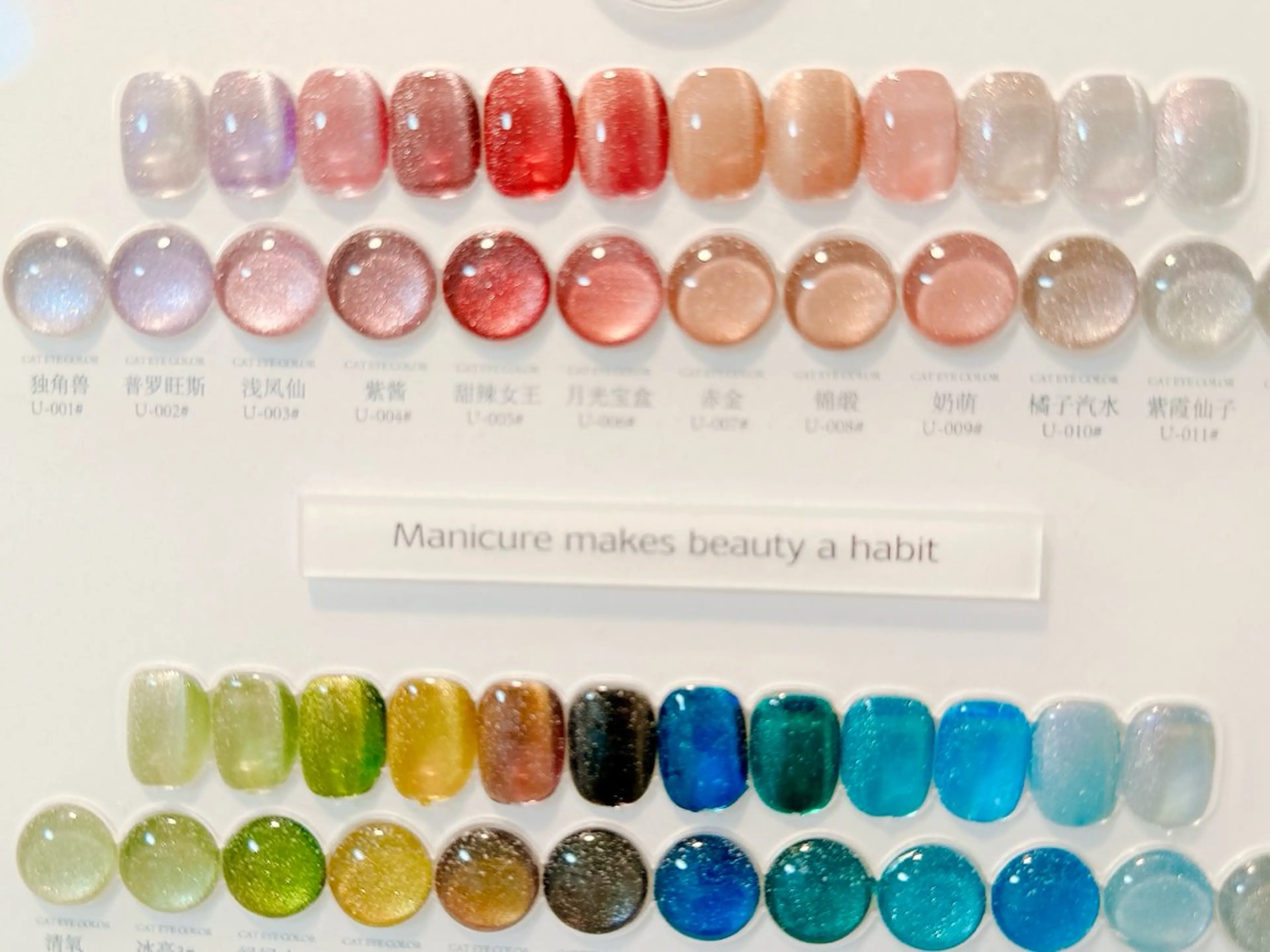 新登場50種類マグネット初回付け替えオフ無料の写真