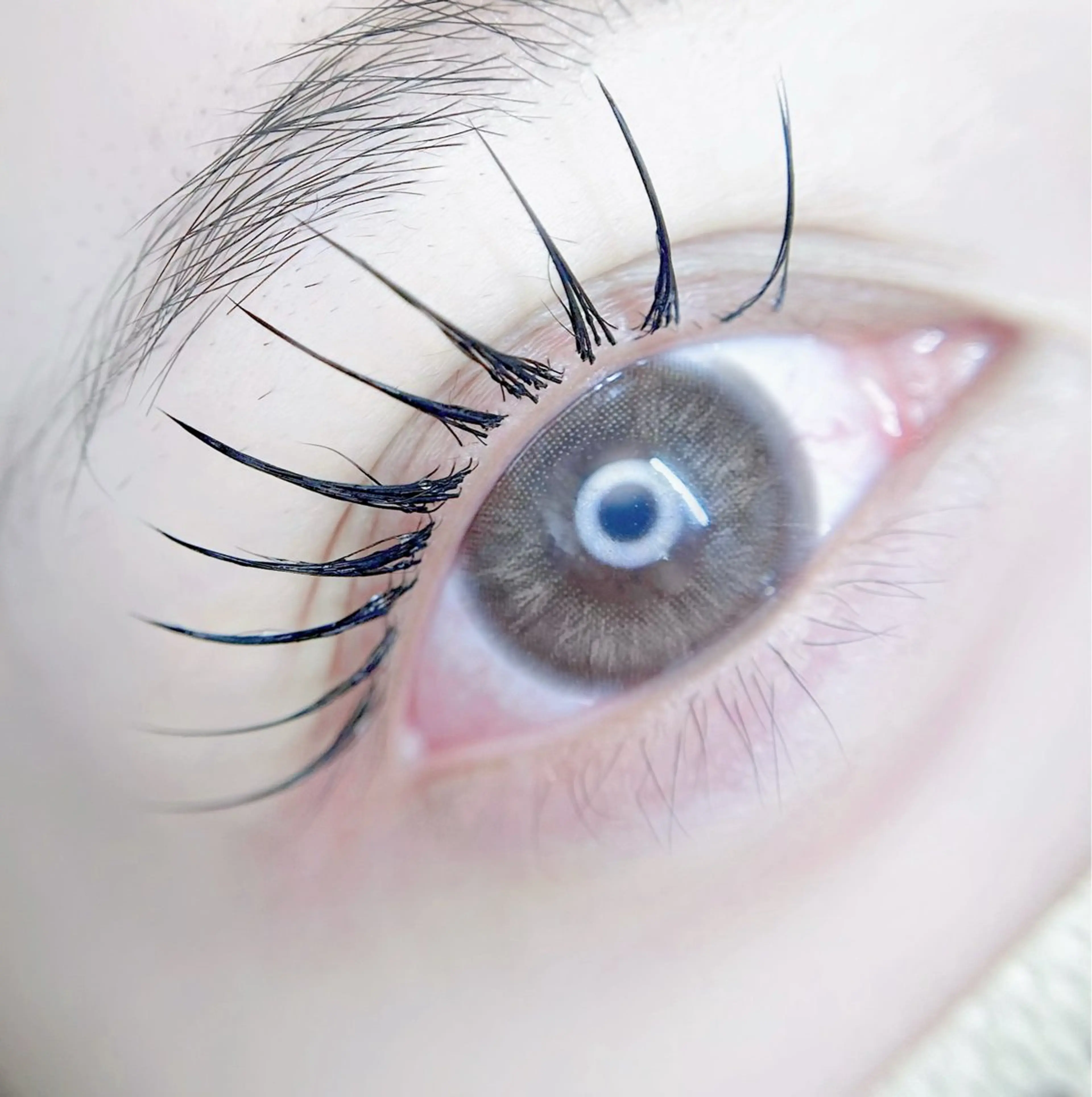 マツエク・マツパ eyelist. mizuki🐈‍⬛のマツエク・マツパデザイン