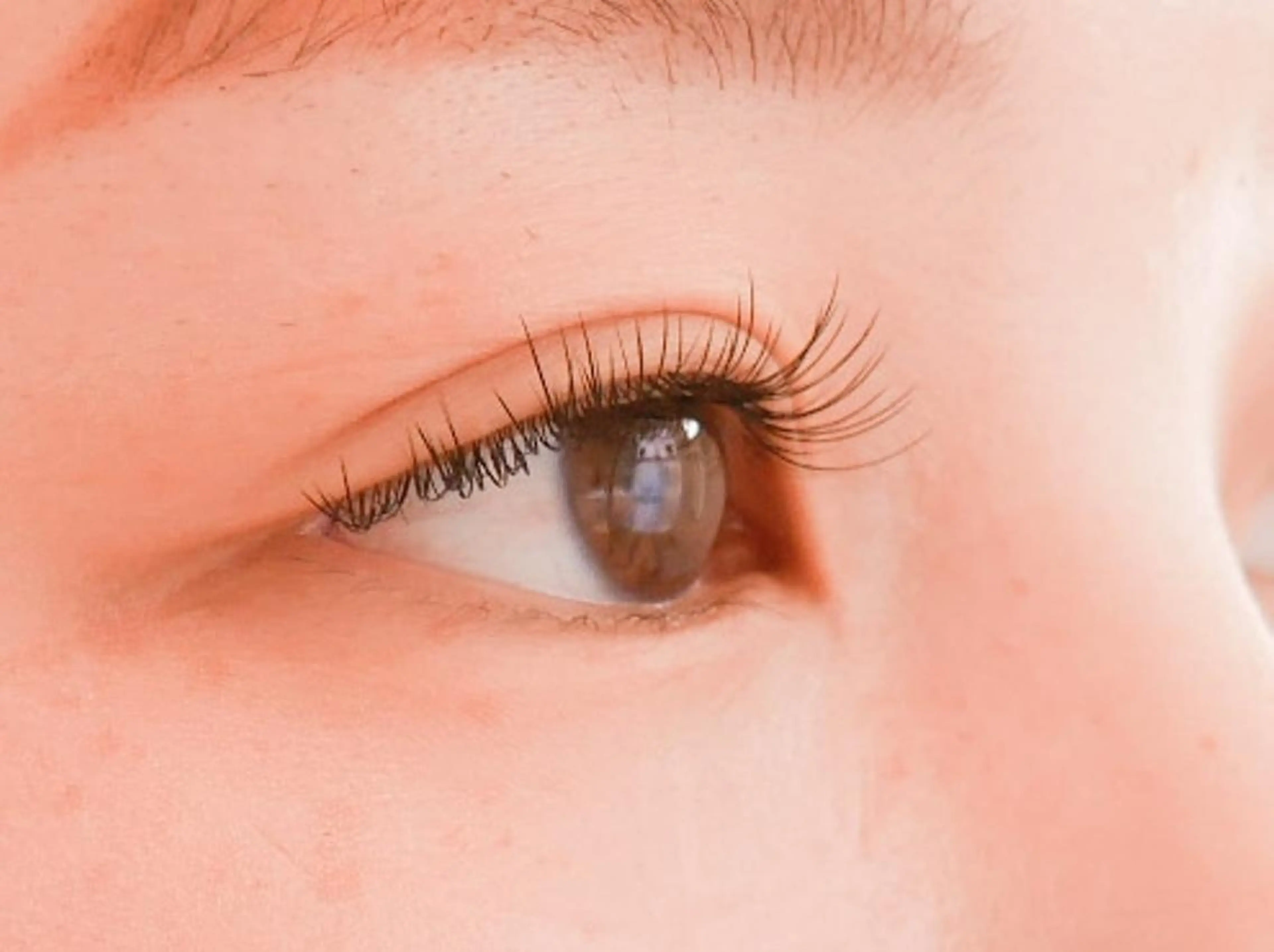 《3/3 14:30》マツパ+LEDエクステ100本の写真