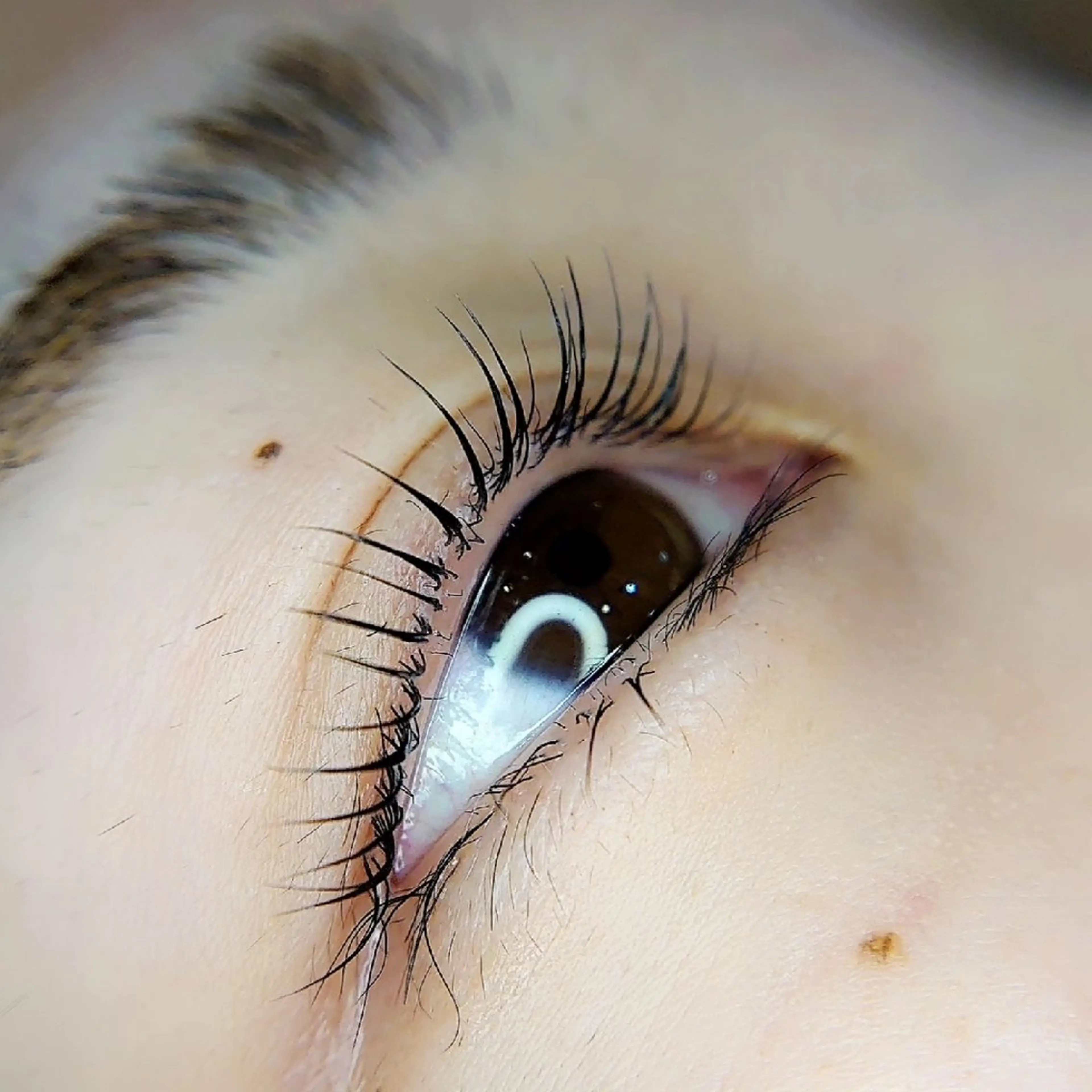 マツエク・マツパ Chelu TOMのマツエク・マツパデザイン