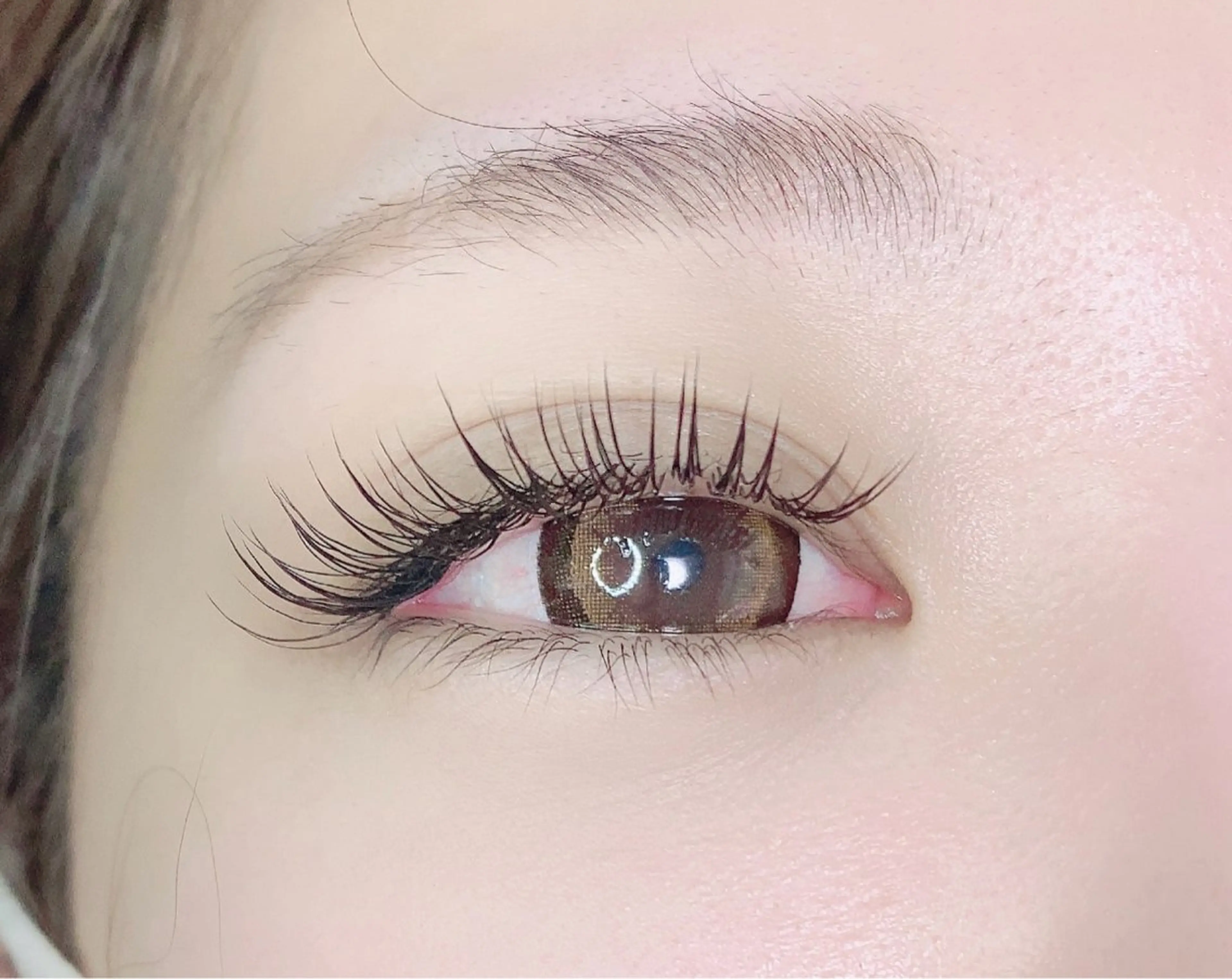 フラットラッシュ100本の写真