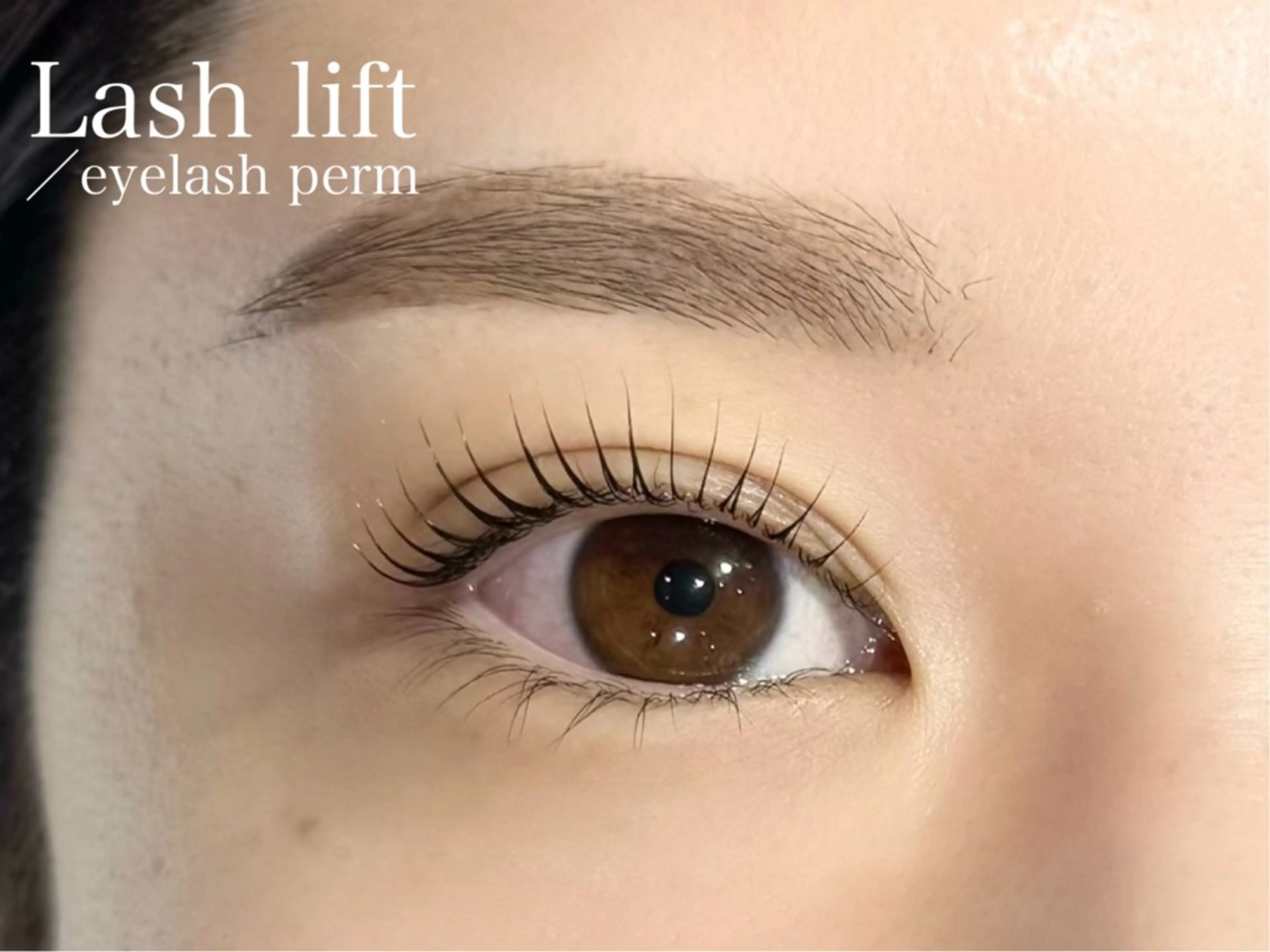 【上まつげパーマ/ラッシュリフト】🌼2stepトリートメント&コーティング付🪄🫧の写真
