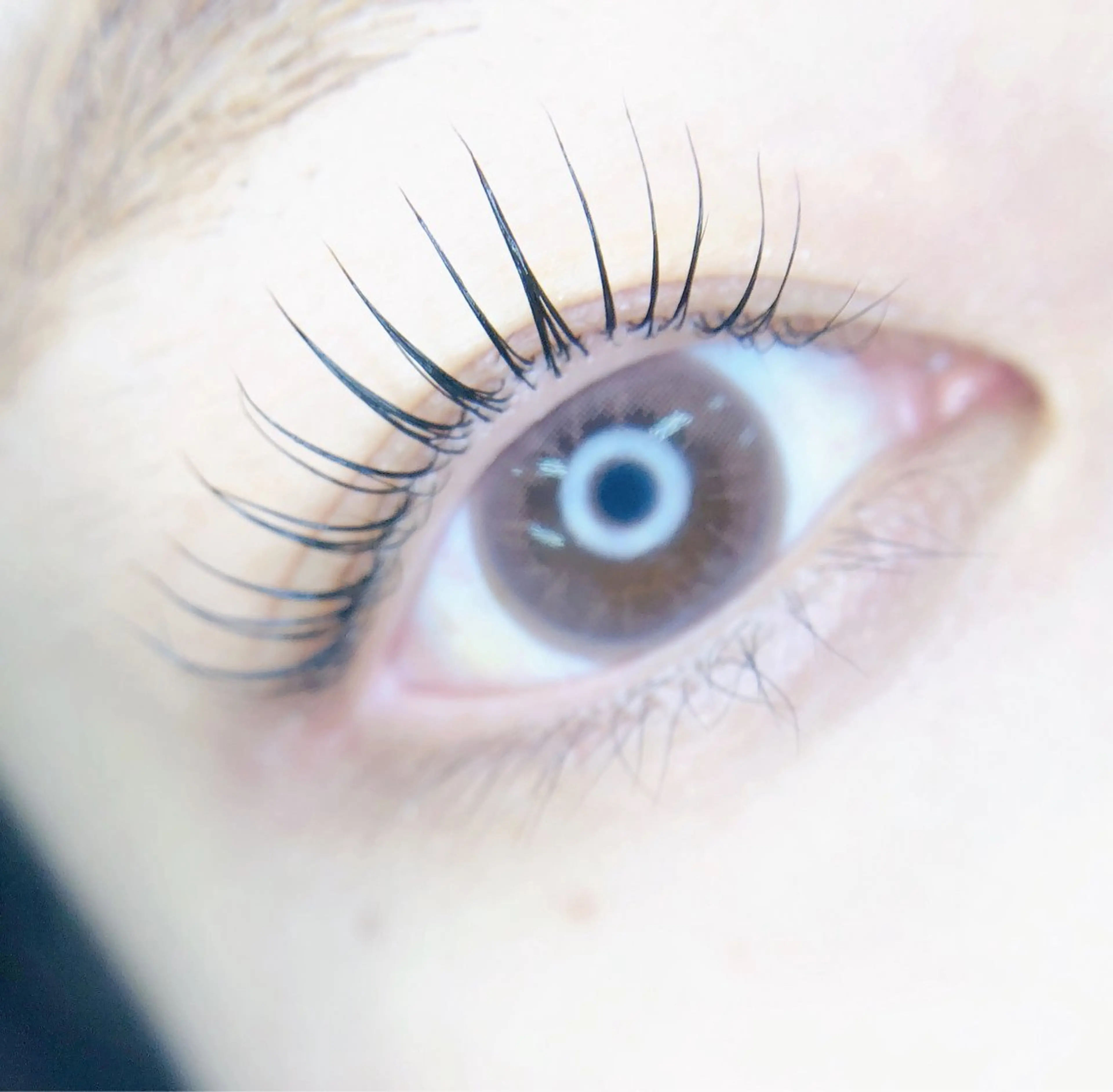 マツエク・マツパ MIGNON 冨田　当日予約のみのマツエク・マツパデザイン