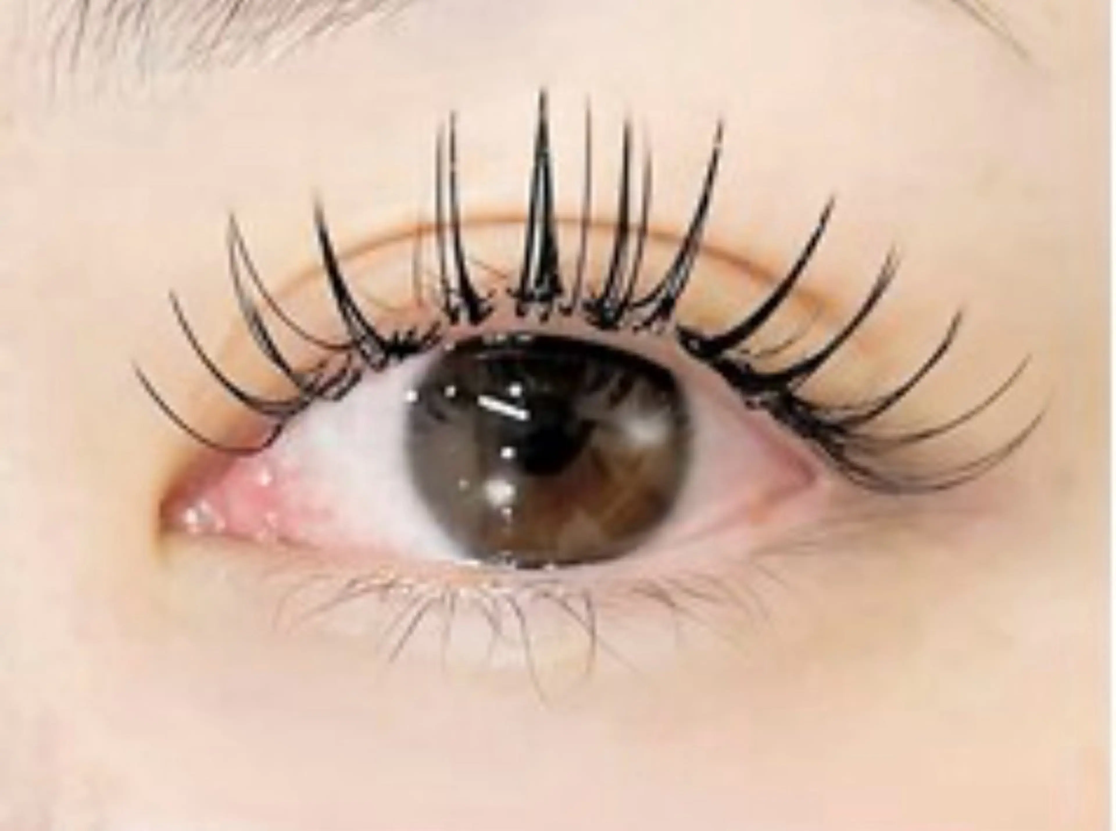 160本/フラットラッシュ、オフ込みの写真