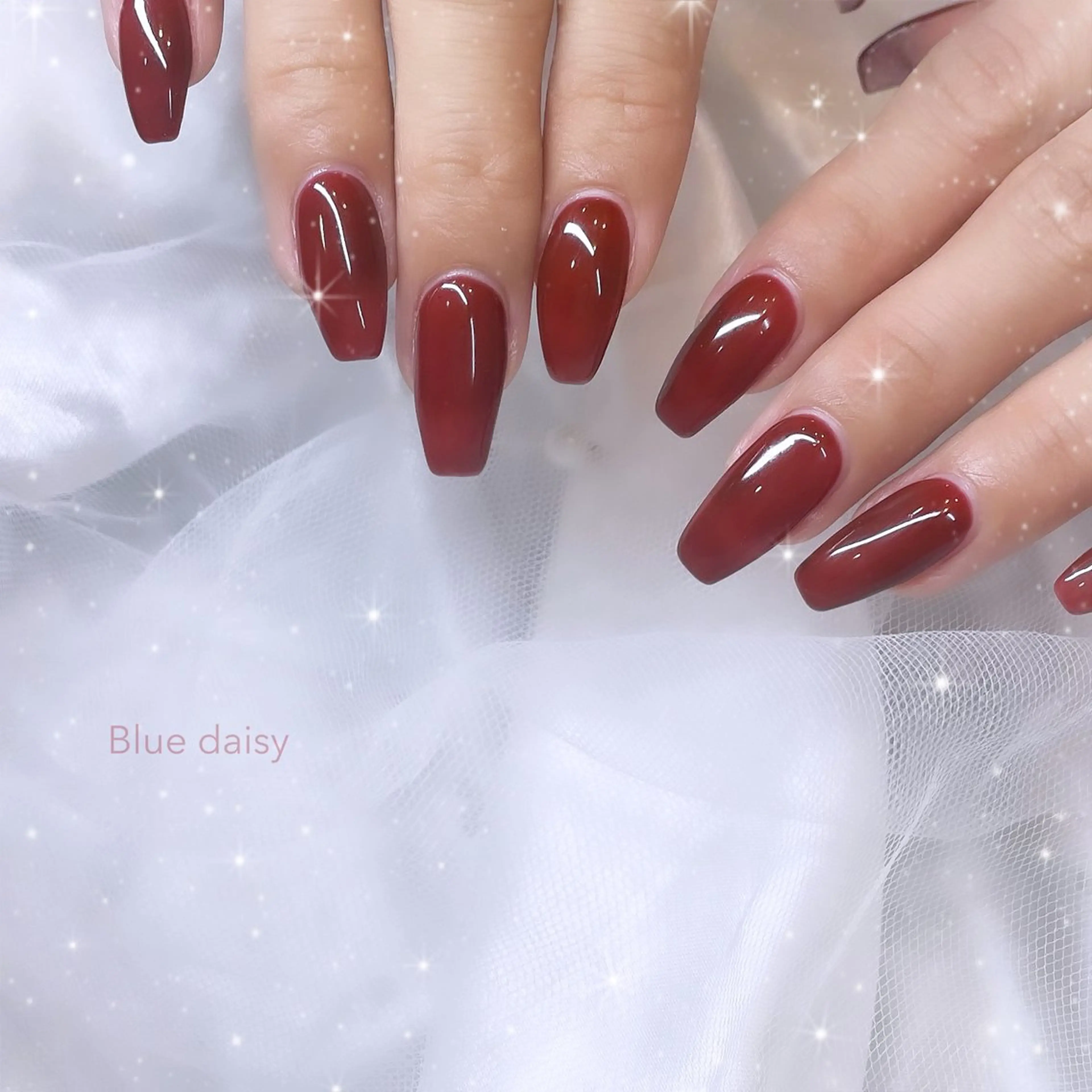 ネイル ボルドー ワンカラーネイル ハンドネイル Blue daisy所属・Blue daisy 栄本店のネイルデザイン