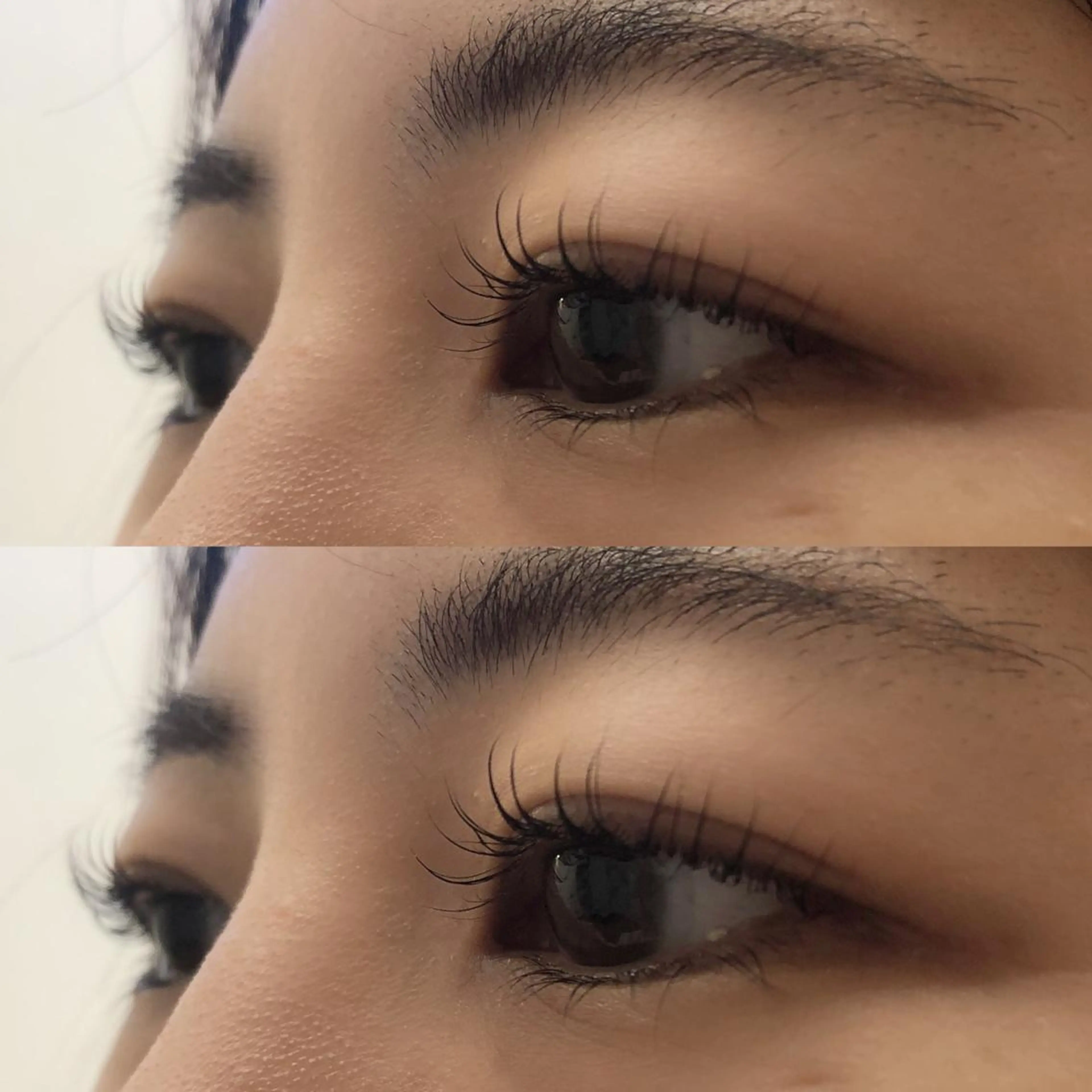 マツエク・マツパ ナチュラル joieange megumiのマツエク・マツパデザイン