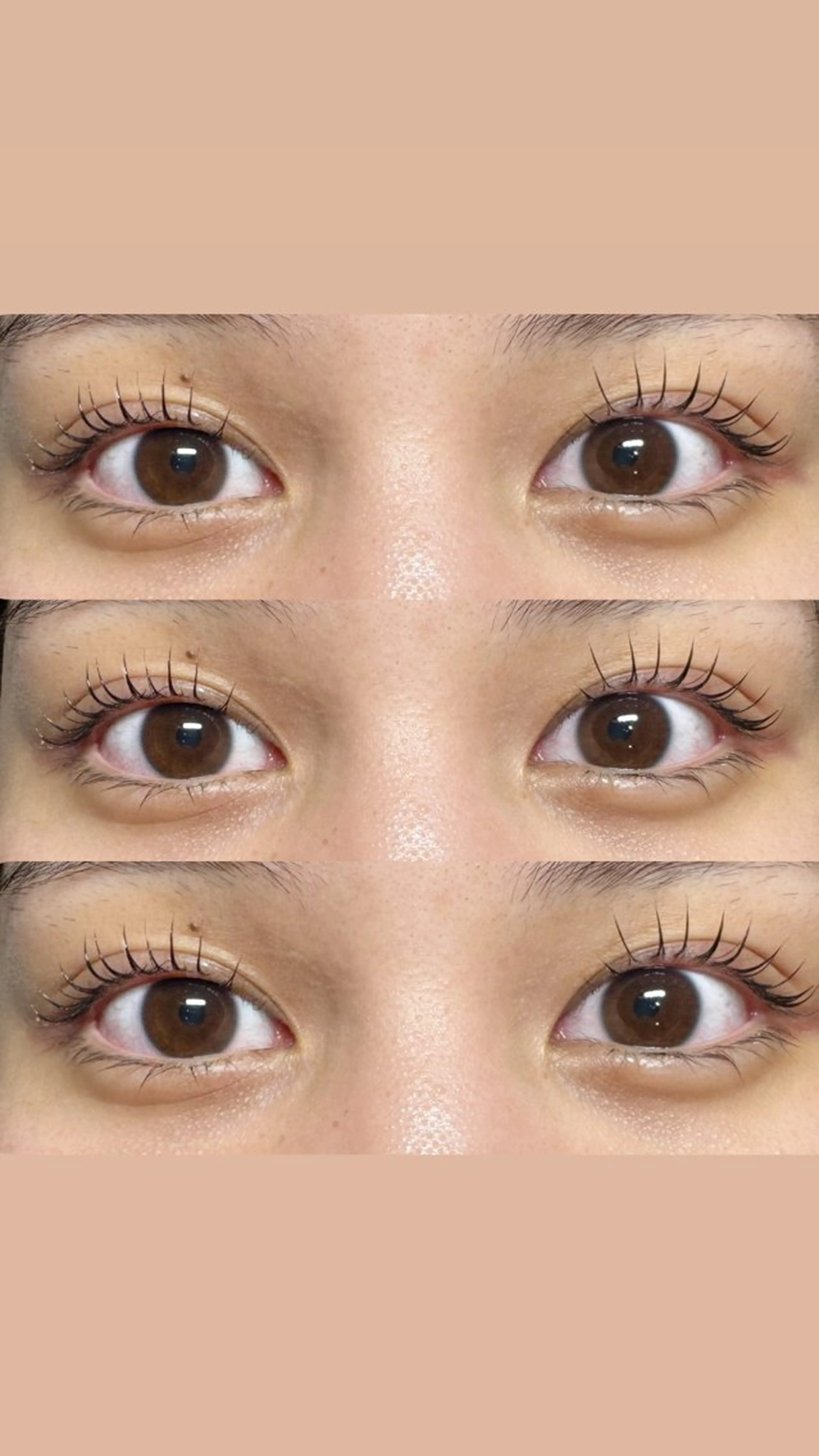 ラッシュリフト(高濃度トリートメント付き)の写真