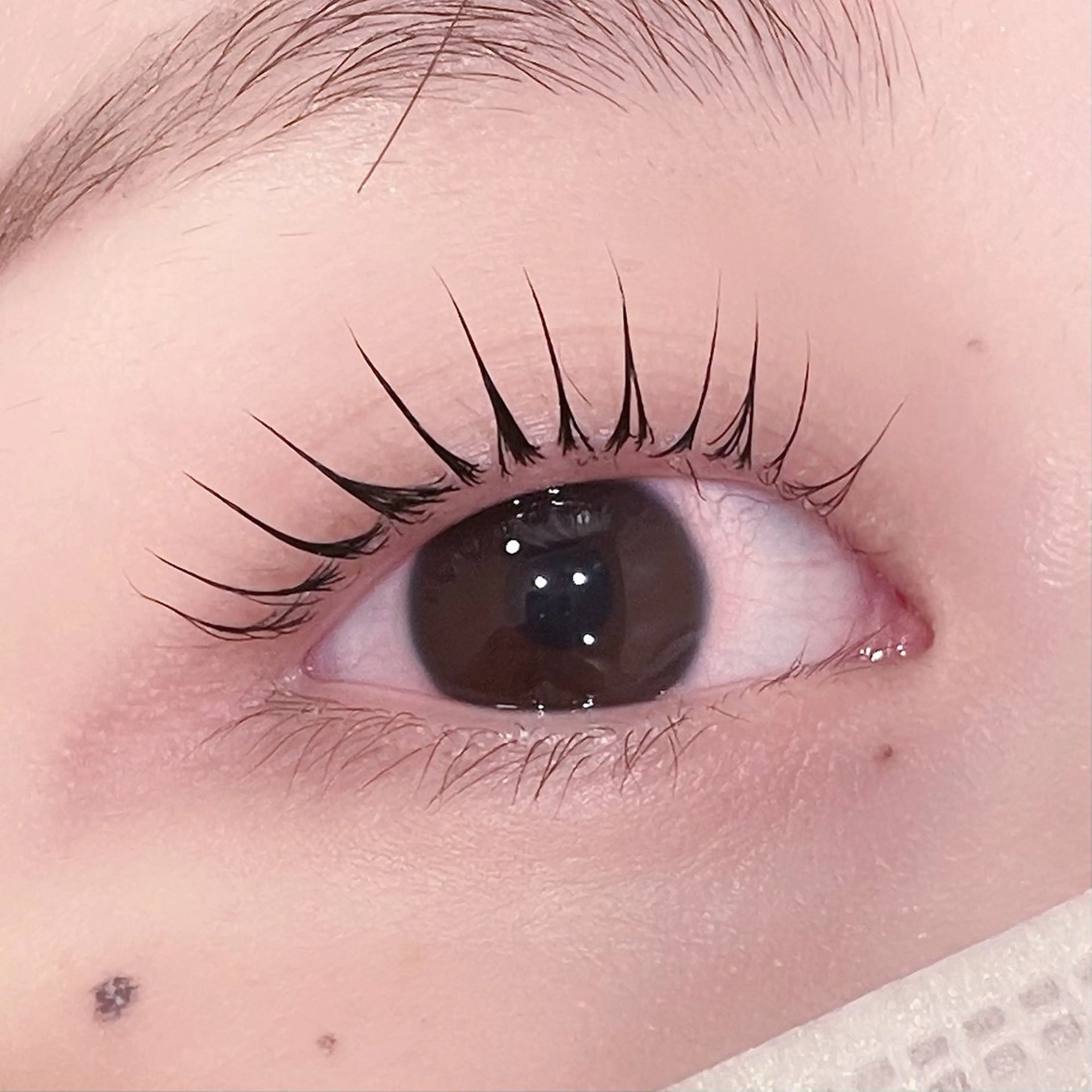 マツエク・マツパ pono大宮東口店 店長🩰AOHA🩰のマツエク・マツパデザイン