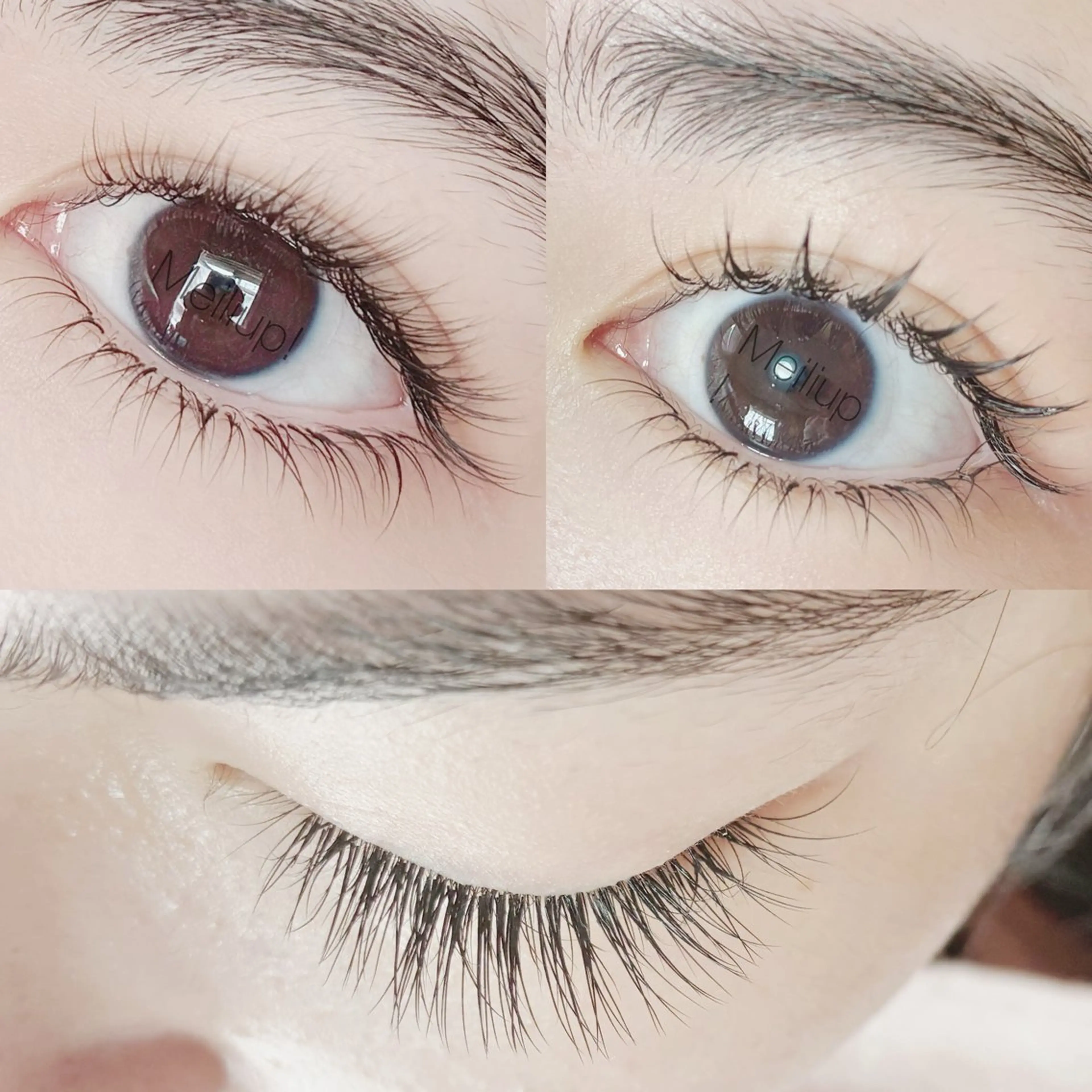 【シングルラッシュ上下つけ放題】アイシャンプー・コーティング込の写真