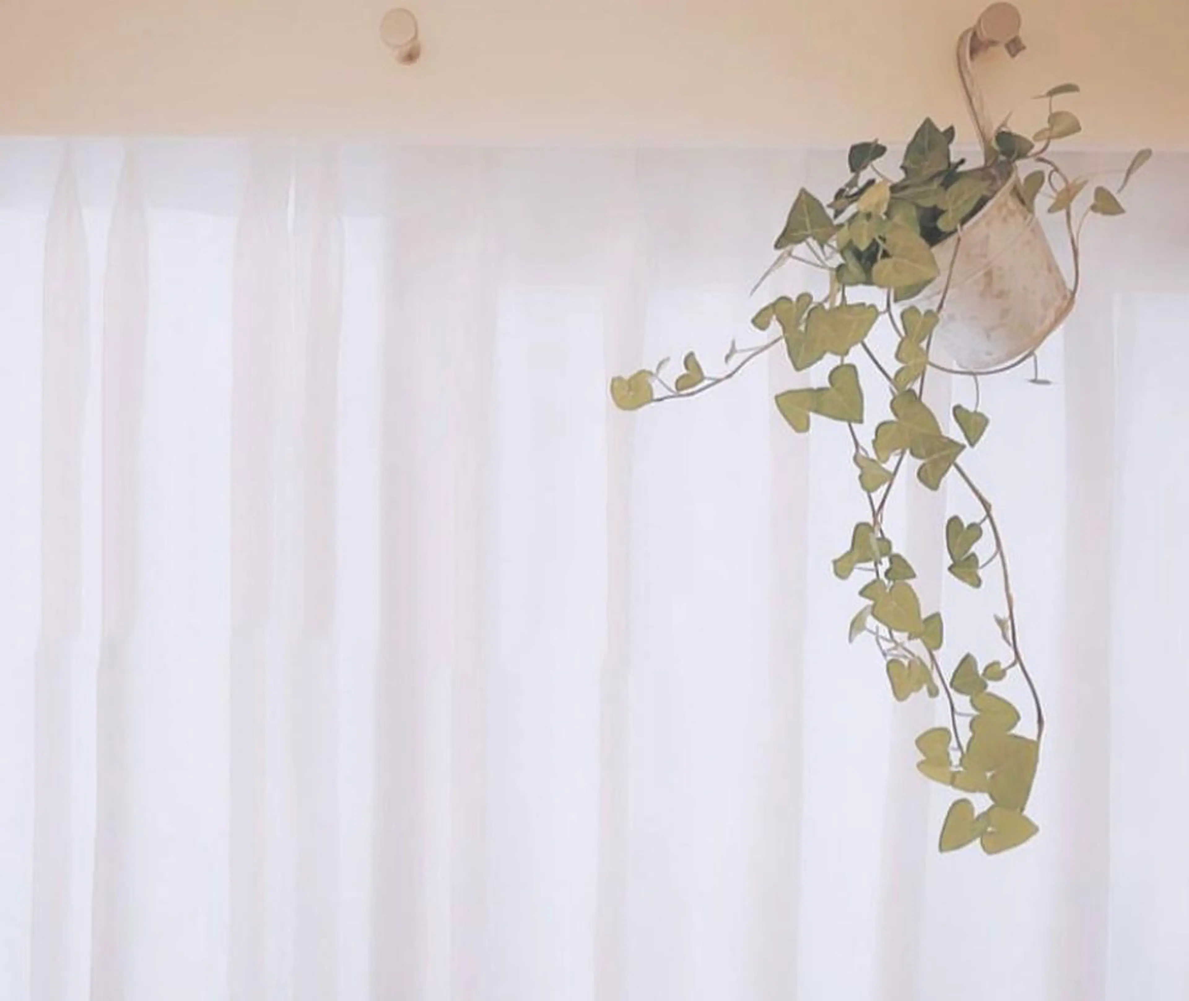 パーマ ヘアアレンジ メンズ キッズ ネイル マツエク・マツパ アイブロウ 頭スッキリ疲労回復 ドライヘッドのエステ・リラクイメージ