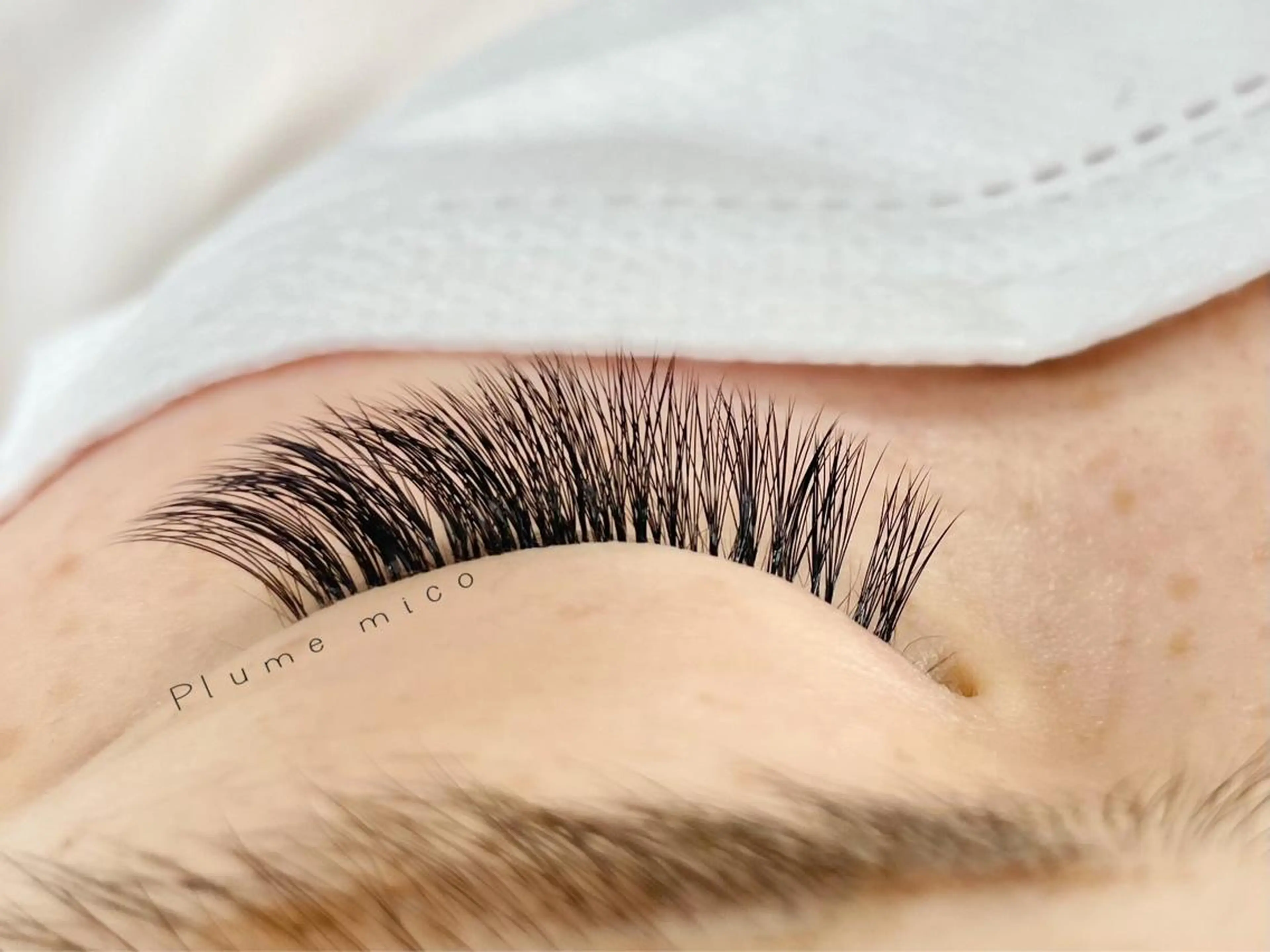 マツエク・マツパ マツエク Plume micoのマツエク・マツパデザイン