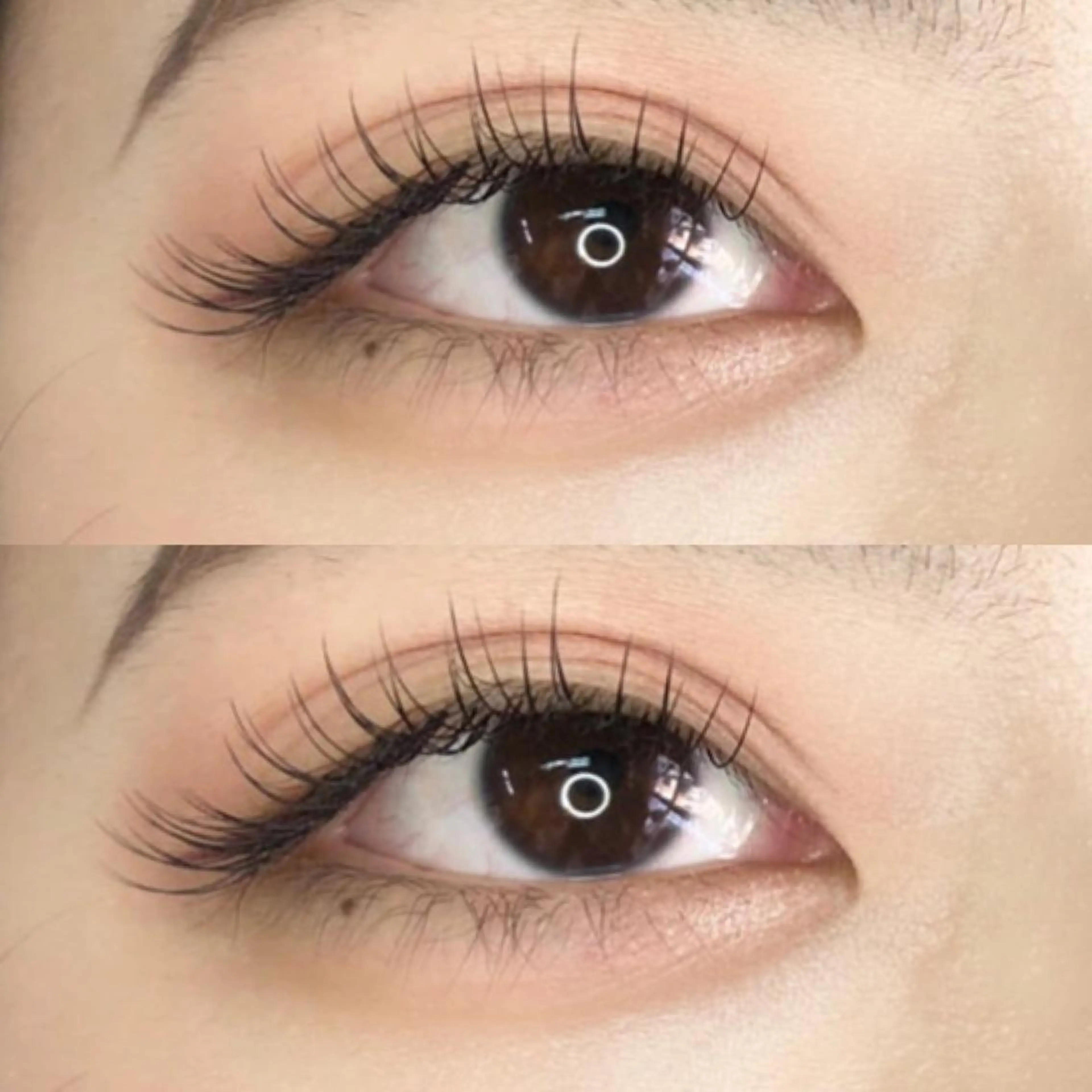 パリジェンヌ×フラットラッシュ80本 アイパック付き🫧の写真