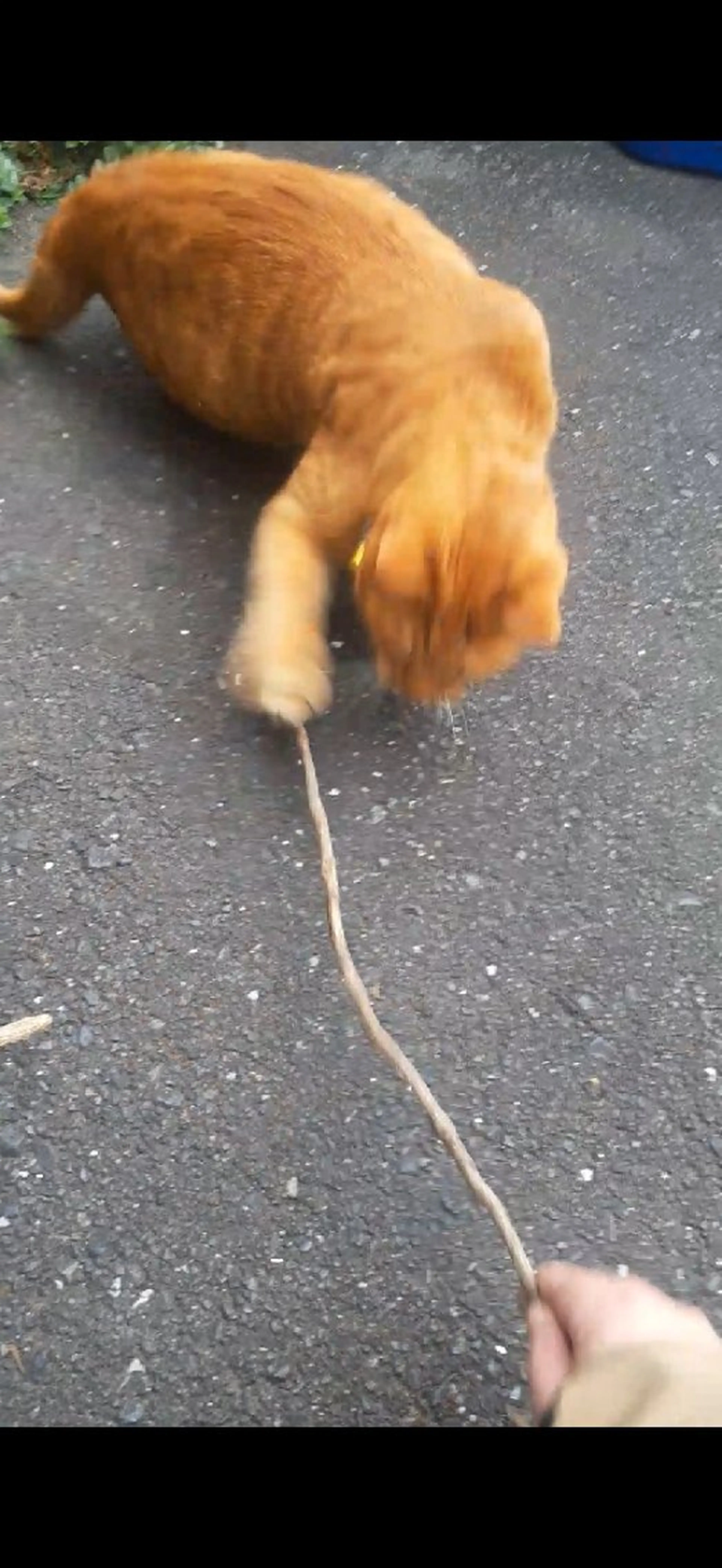 千の樹所属・久保 美咲(女性専用)のエステ・リラクイメージ