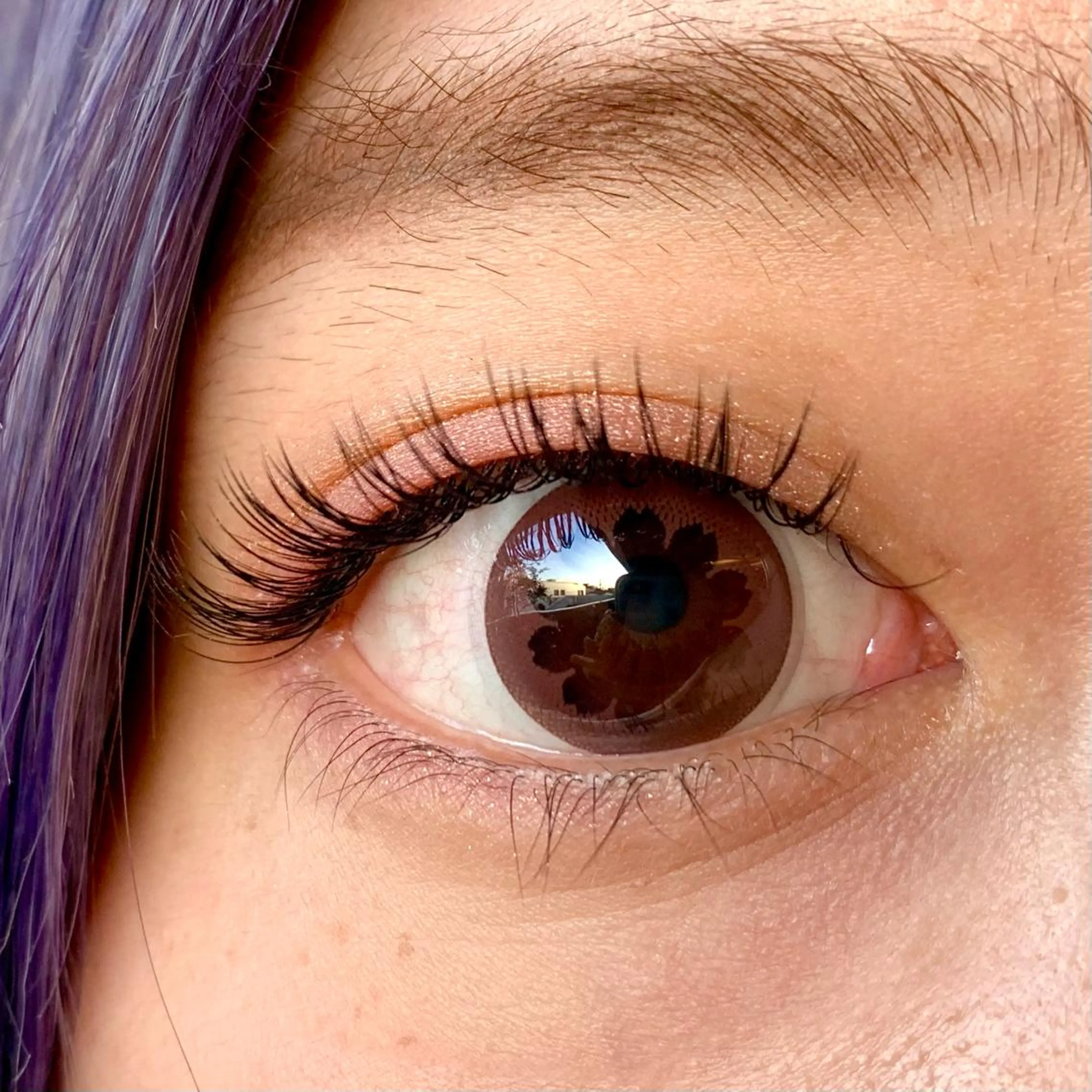 マツエク・マツパ Cカール フラットラッシュ マツエク Fukushi/ 自由が丘/まつぱのマツエク・マツパデザイン