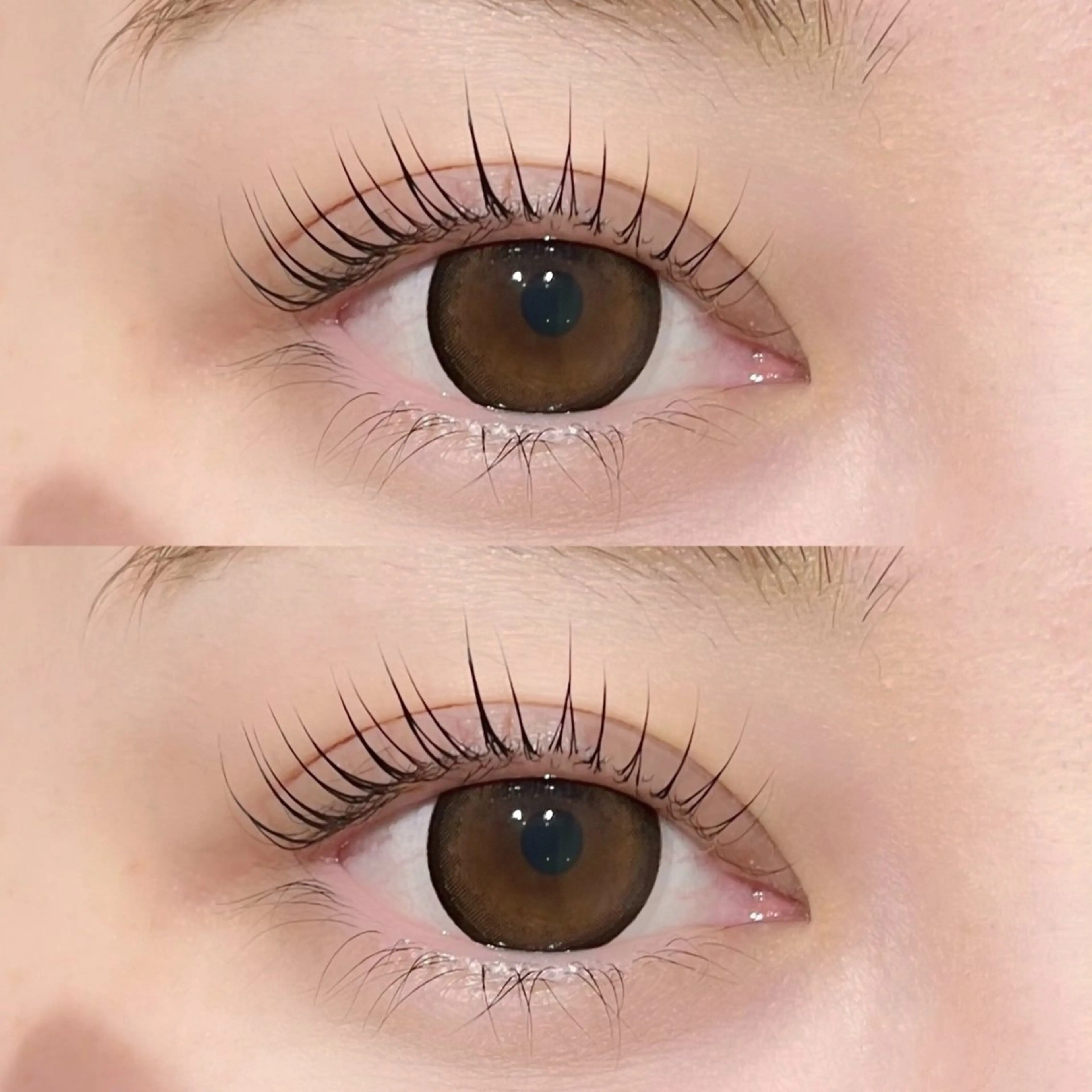 【上下】選べるパーマ🤍パリジェンヌor ラッシュリフトの写真