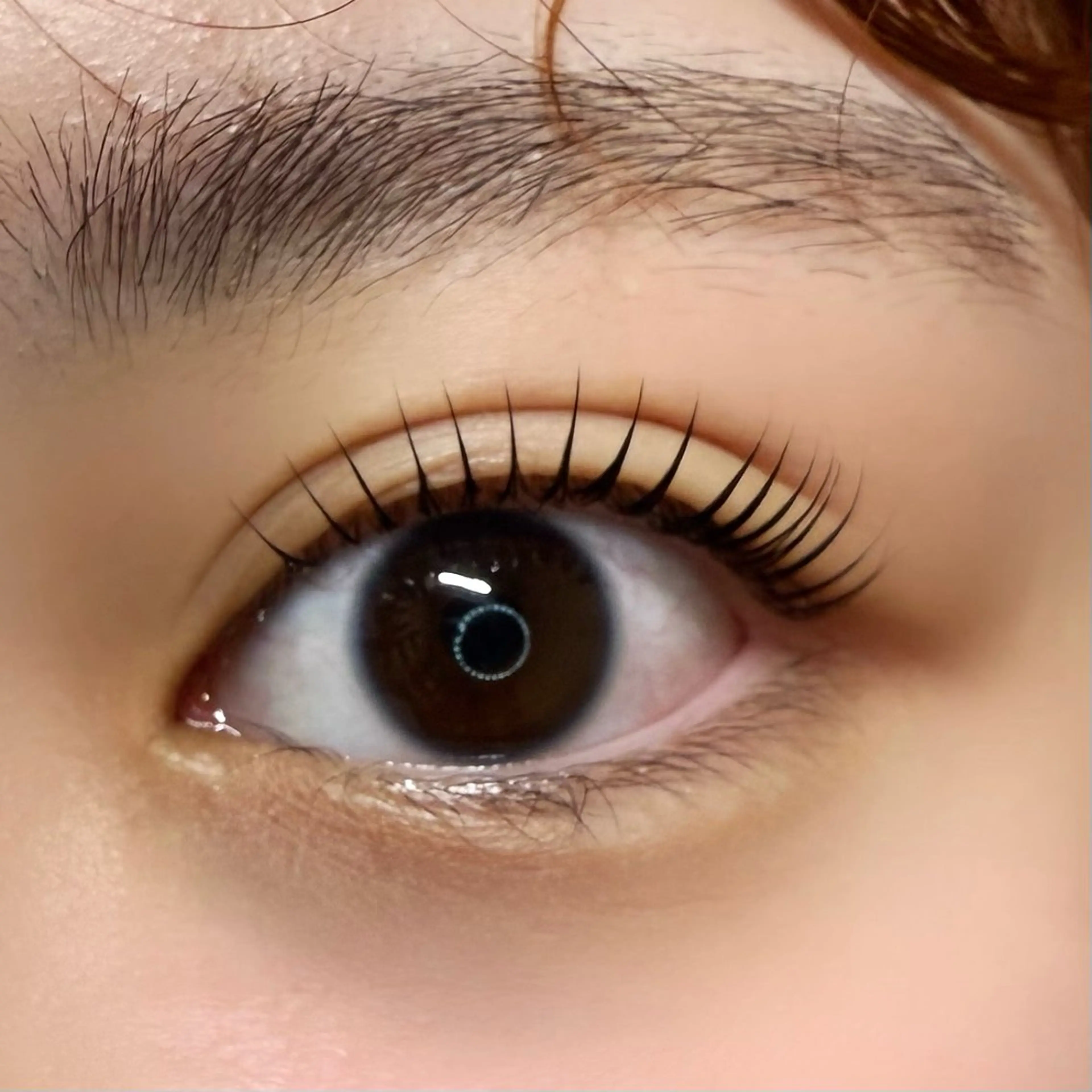 【学割U24】🪻まつげパーマ🪻コーティング付き（束感仕上げ🉑）の写真