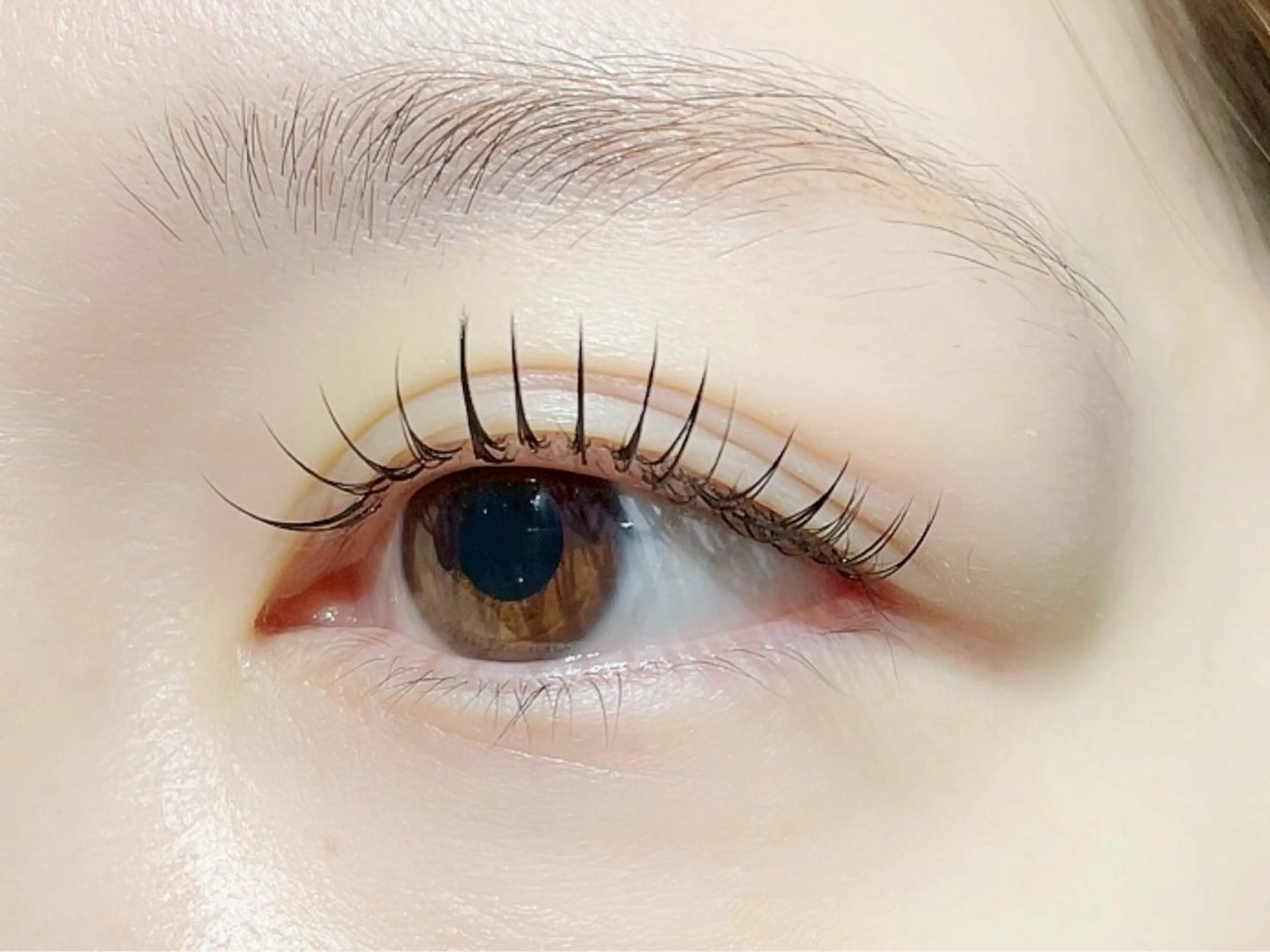 マツエク・マツパ ❣️高田馬場人気❣️ アイブロウワックスの眉毛・アイブロウイメージ